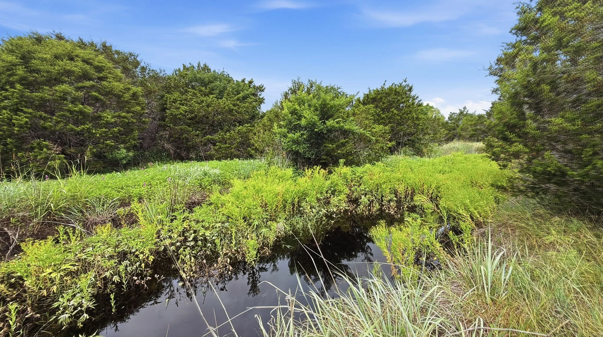 Unimproved Land For Sale in Hamilton County , Lot 97 Ph 6 PR 42101, Evant, Texas 76525, 0, 0, Garage spaces, 0 Sqft, built in 0, Price $93,093, mls#21302902, Real Estate Agent in Evant, Homes For Sale in Hamilton county, Homes For Sale in Evant, Realtor in Evant Texas, Real Estate Brokerage Independent Realty Texas, Luminita Cordes Realtor