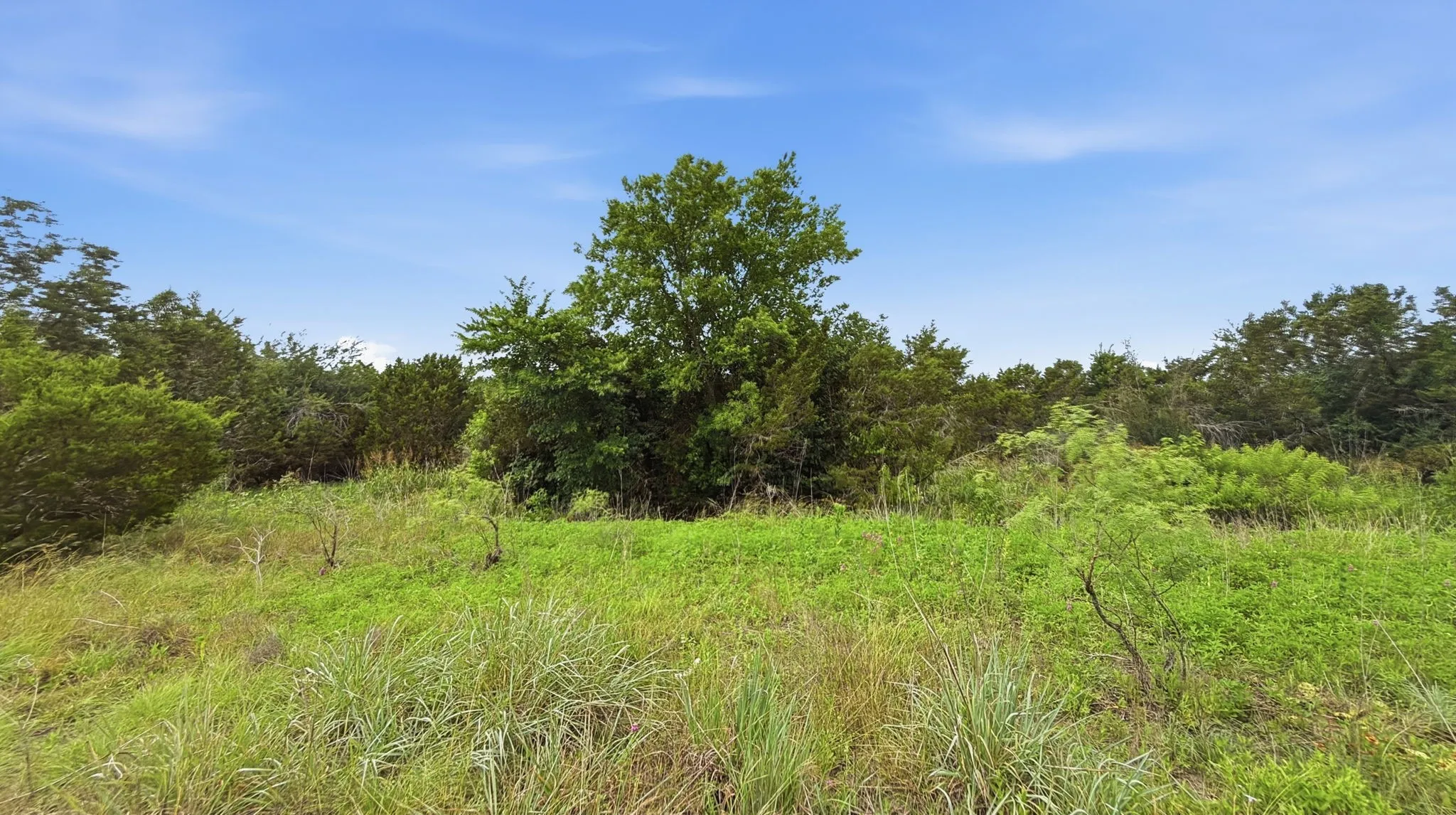 Unimproved Land For Sale in Hamilton County , Lot 97 Ph 6 PR 42101, Evant, Texas 76525, 0, 0, Garage spaces, 0 Sqft, built in 0, Price $93,093, mls#21302902, Real Estate Agent in Evant, Homes For Sale in Hamilton county, Homes For Sale in Evant, Realtor in Evant Texas, Real Estate Brokerage Independent Realty Texas, Luminita Cordes Realtor