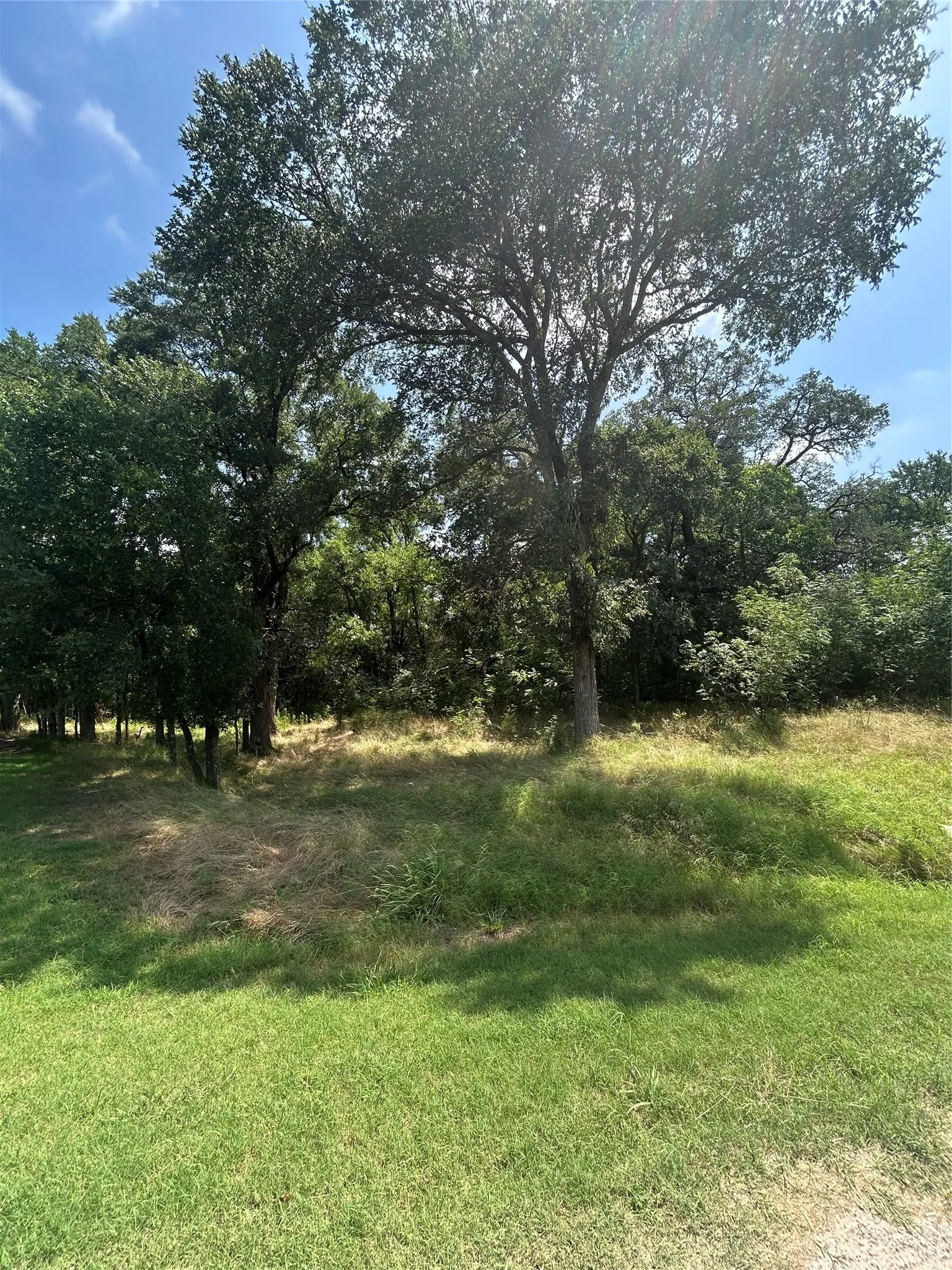Unimproved Land For Sale in Hill County , 13011 Crestwood Drive, Whitney, Texas 76692, 0, 0, Garage spaces, 0 Sqft, built in 0, mls#21307333, Real Estate Agent in Whitney, Homes For Sale in Hill county, Homes For Sale in Whitney, Realtor in Whitney Texas, Real Estate Brokerage Independent Realty Texas, Luminita Cordes Realtor