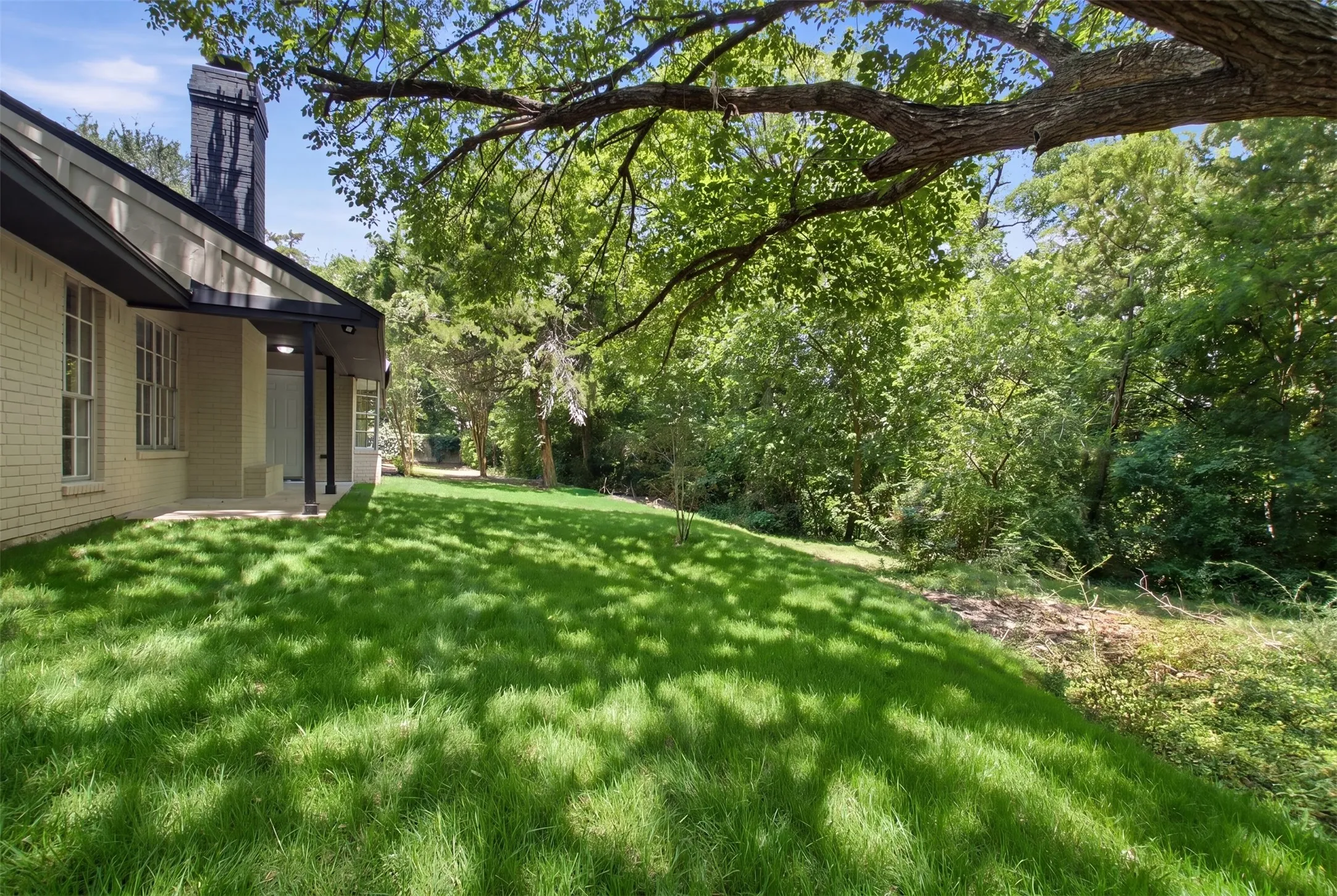Expansive lawn bordered by dense, mature trees, offering a verdant backdrop
