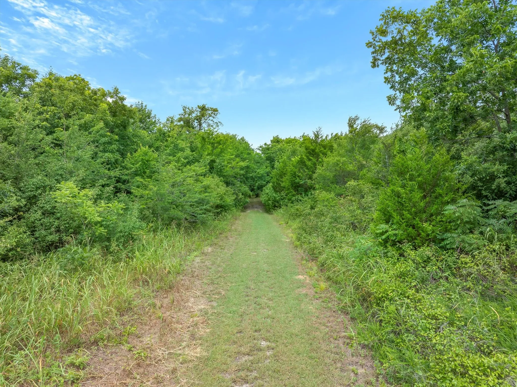 Ranch For Sale in Rains County , TBD FM 2737, Lone Oak, Texas 75453, 0, 0, Garage spaces, 0 Sqft, built in 0, mls#21293120, Real Estate Agent in Lone Oak, Homes For Sale in Rains county, Homes For Sale in Lone Oak, Realtor in Lone Oak Texas, Real Estate Brokerage Independent Realty Texas, Luminita Cordes Realtor