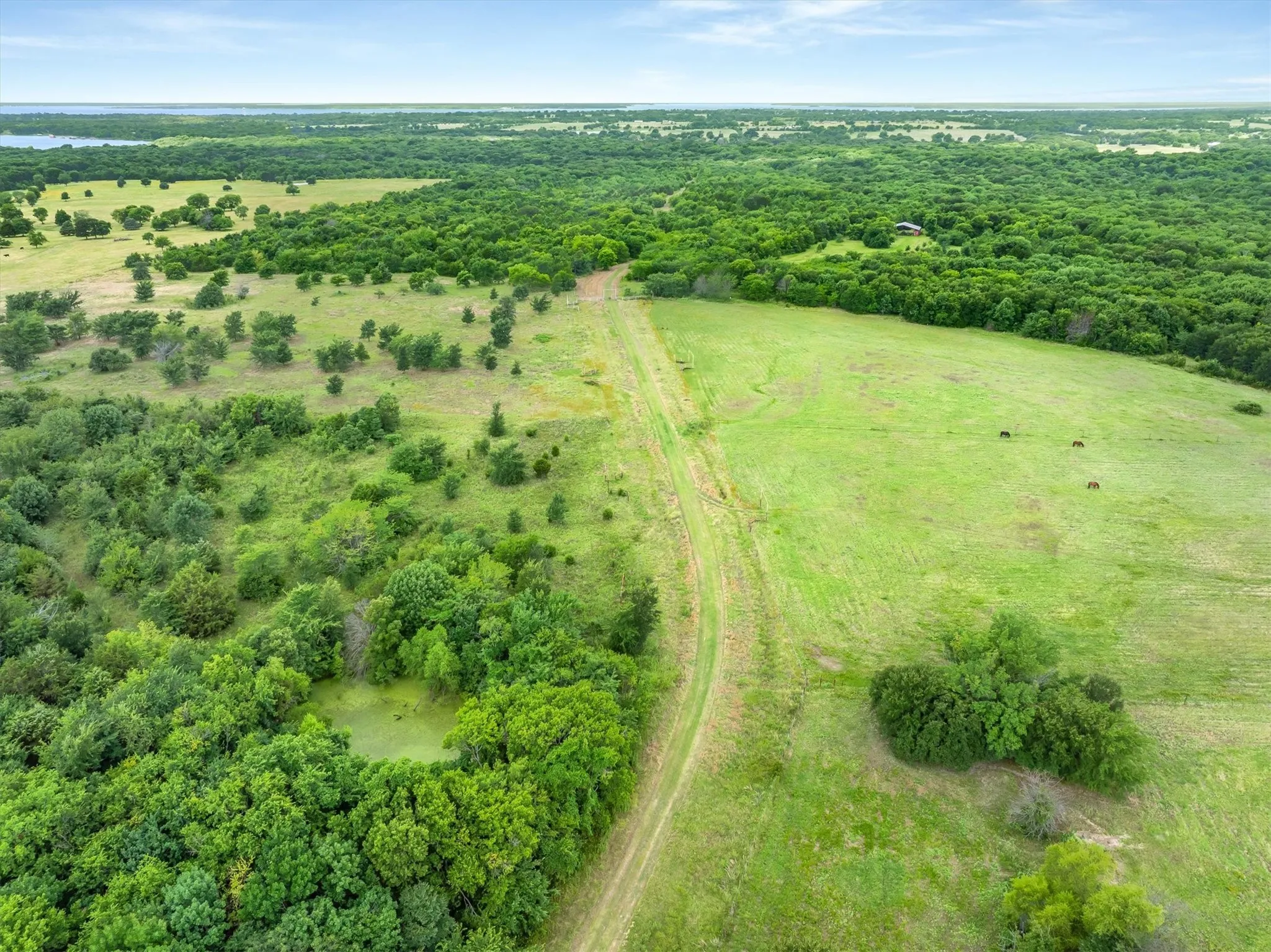 Ranch For Sale in Rains County , TBD FM 2737, Lone Oak, Texas 75453, 0, 0, Garage spaces, 0 Sqft, built in 0, mls#21293120, Real Estate Agent in Lone Oak, Homes For Sale in Rains county, Homes For Sale in Lone Oak, Realtor in Lone Oak Texas, Real Estate Brokerage Independent Realty Texas, Luminita Cordes Realtor