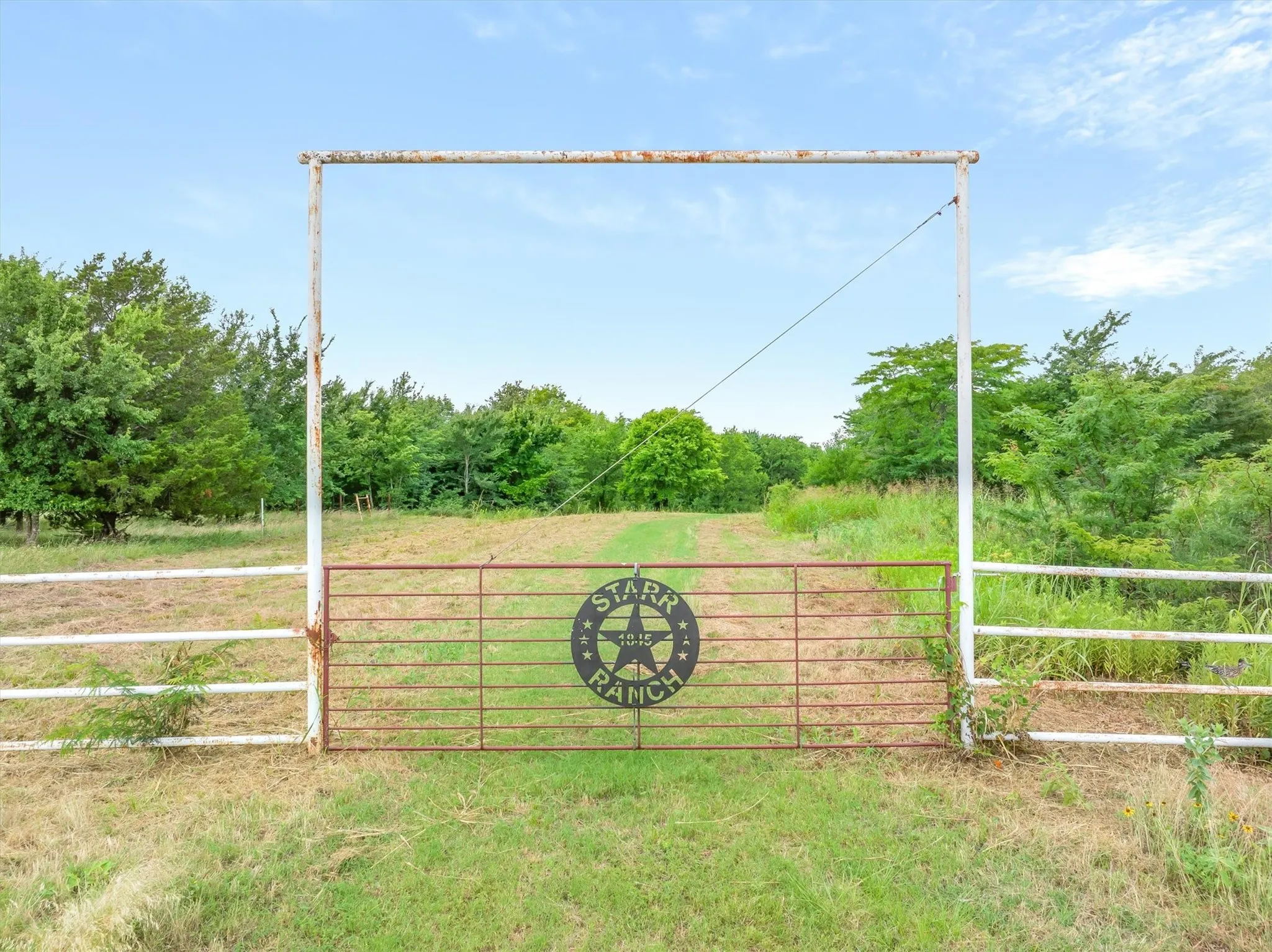Ranch For Sale in Rains County , TBD FM 2737, Lone Oak, Texas 75453, 0, 0, Garage spaces, 0 Sqft, built in 0, mls#21293120, Real Estate Agent in Lone Oak, Homes For Sale in Rains county, Homes For Sale in Lone Oak, Realtor in Lone Oak Texas, Real Estate Brokerage Independent Realty Texas, Luminita Cordes Realtor