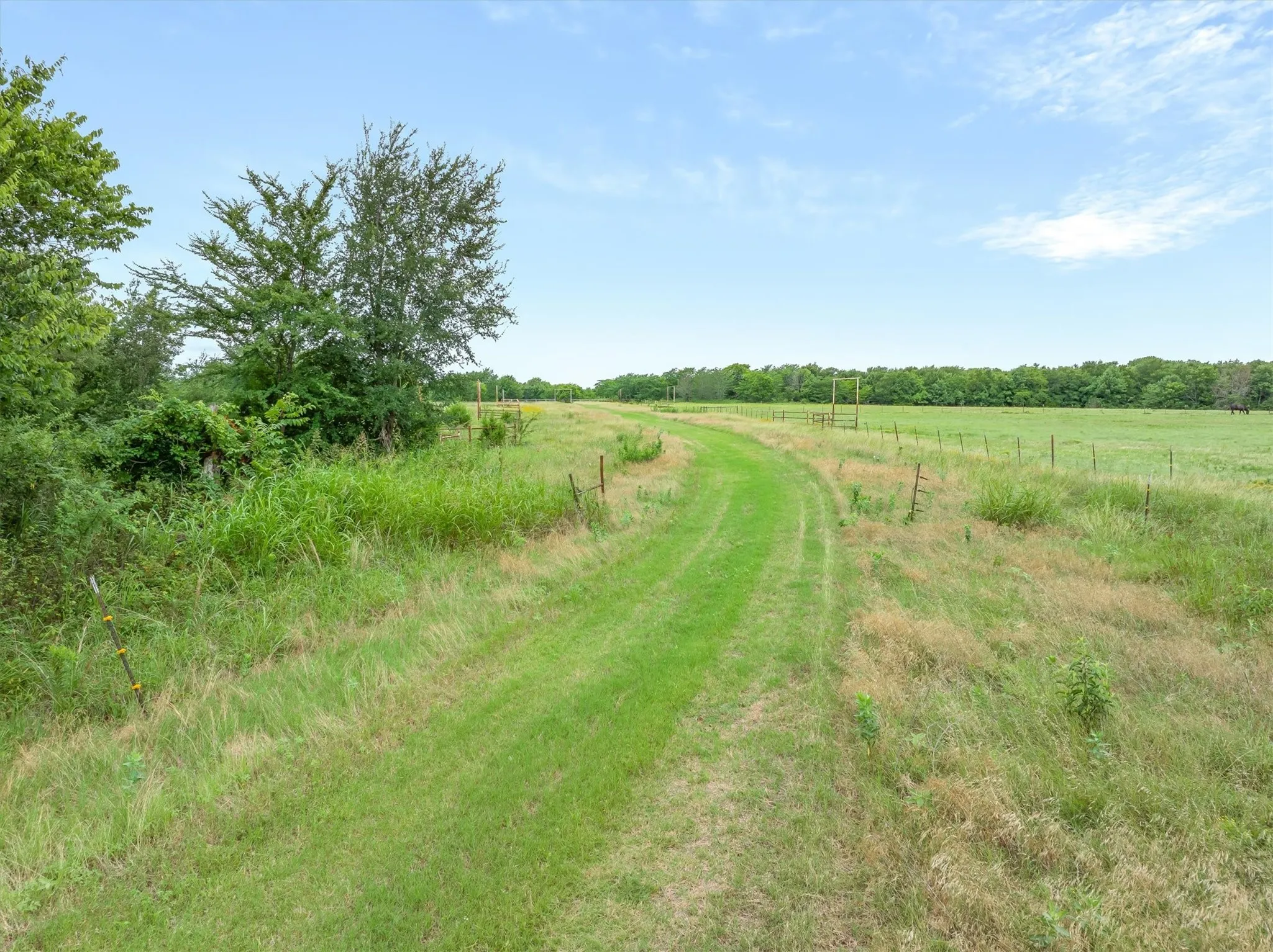 Ranch For Sale in Rains County , TBD FM 2737, Lone Oak, Texas 75453, 0, 0, Garage spaces, 0 Sqft, built in 0, mls#21293120, Real Estate Agent in Lone Oak, Homes For Sale in Rains county, Homes For Sale in Lone Oak, Realtor in Lone Oak Texas, Real Estate Brokerage Independent Realty Texas, Luminita Cordes Realtor