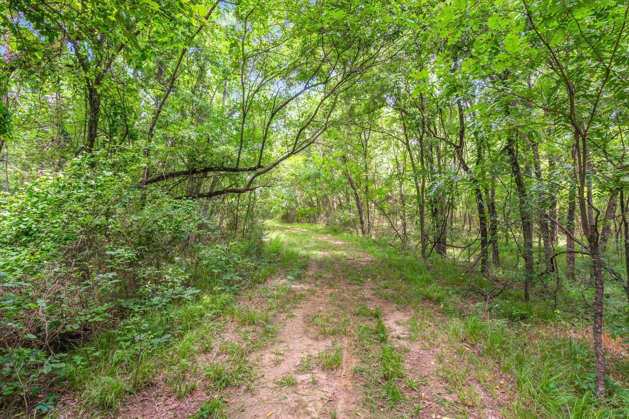 Ranch For Sale in Rains County , TBD FM 2737, Lone Oak, Texas 75453, 0, 0, Garage spaces, 0 Sqft, built in 0, mls#21293120, Real Estate Agent in Lone Oak, Homes For Sale in Rains county, Homes For Sale in Lone Oak, Realtor in Lone Oak Texas, Real Estate Brokerage Independent Realty Texas, Luminita Cordes Realtor
