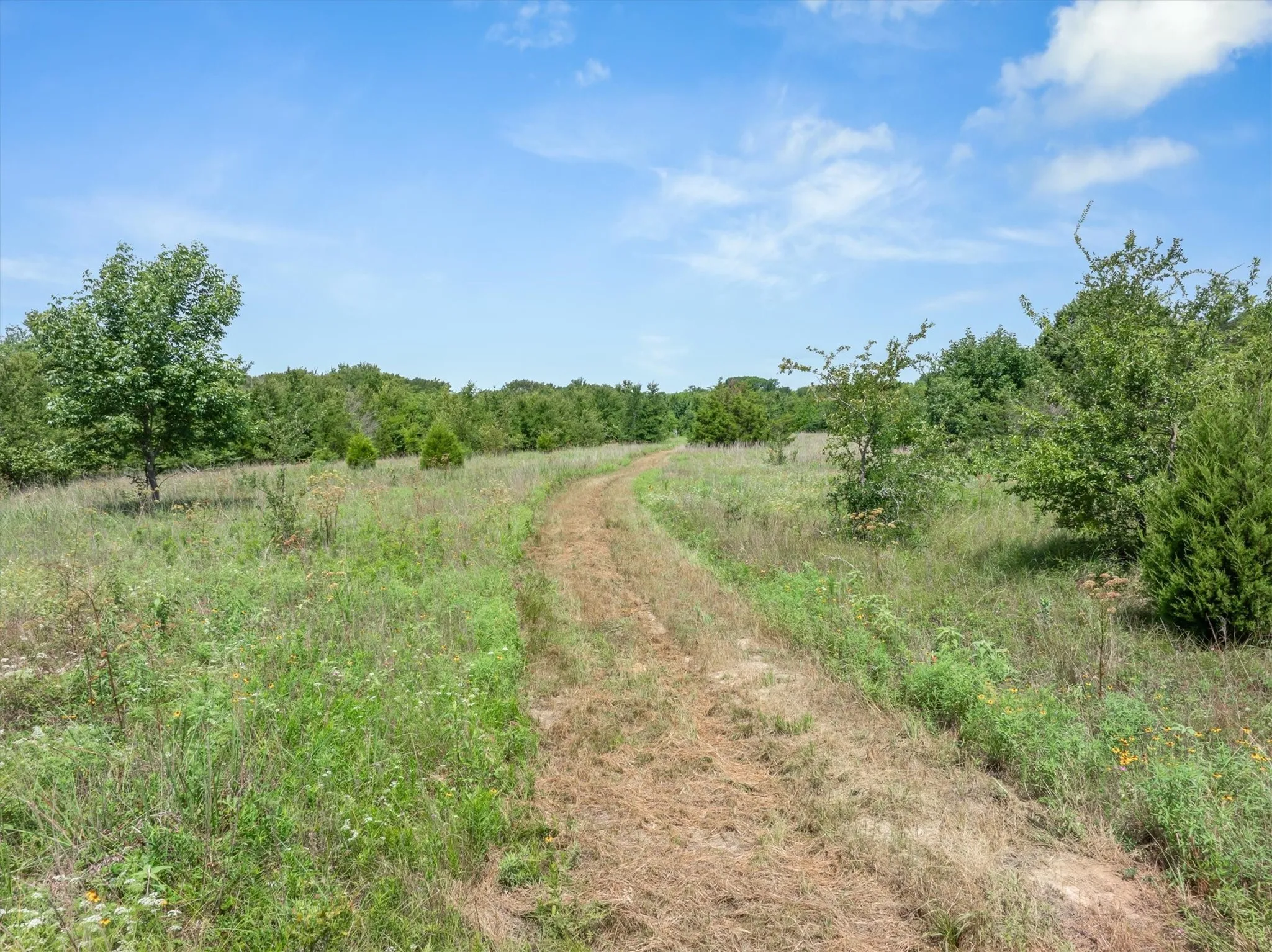 Ranch For Sale in Rains County , TBD FM 2737, Lone Oak, Texas 75453, 0, 0, Garage spaces, 0 Sqft, built in 0, mls#21293120, Real Estate Agent in Lone Oak, Homes For Sale in Rains county, Homes For Sale in Lone Oak, Realtor in Lone Oak Texas, Real Estate Brokerage Independent Realty Texas, Luminita Cordes Realtor