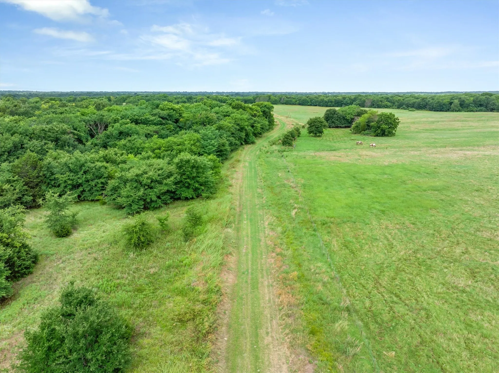 Ranch For Sale in Rains County , TBD FM 2737, Lone Oak, Texas 75453, 0, 0, Garage spaces, 0 Sqft, built in 0, mls#21293120, Real Estate Agent in Lone Oak, Homes For Sale in Rains county, Homes For Sale in Lone Oak, Realtor in Lone Oak Texas, Real Estate Brokerage Independent Realty Texas, Luminita Cordes Realtor