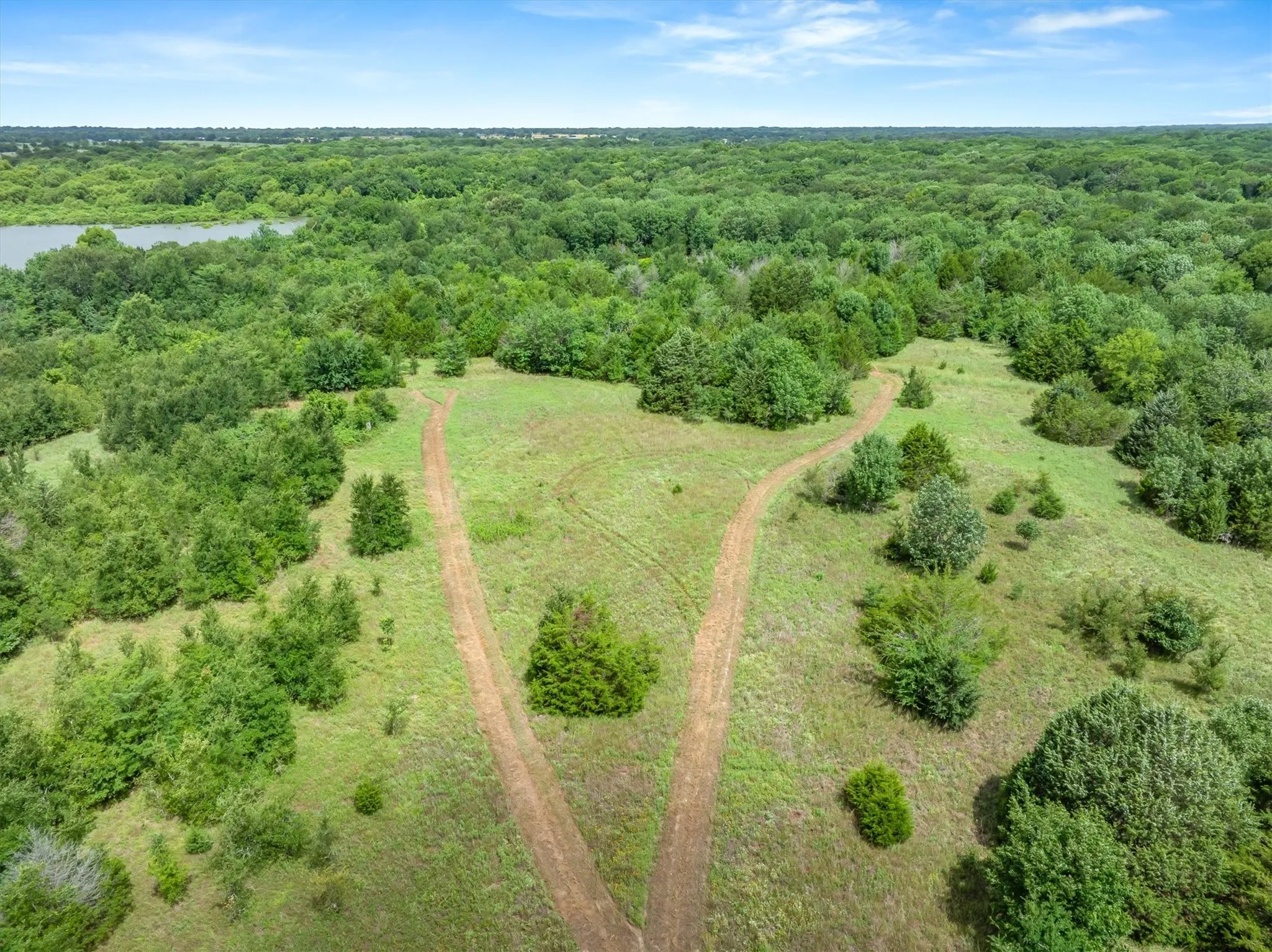 Ranch For Sale in Rains County , TBD FM 2737, Lone Oak, Texas 75453, 0, 0, Garage spaces, 0 Sqft, built in 0, mls#21293120, Real Estate Agent in Lone Oak, Homes For Sale in Rains county, Homes For Sale in Lone Oak, Realtor in Lone Oak Texas, Real Estate Brokerage Independent Realty Texas, Luminita Cordes Realtor