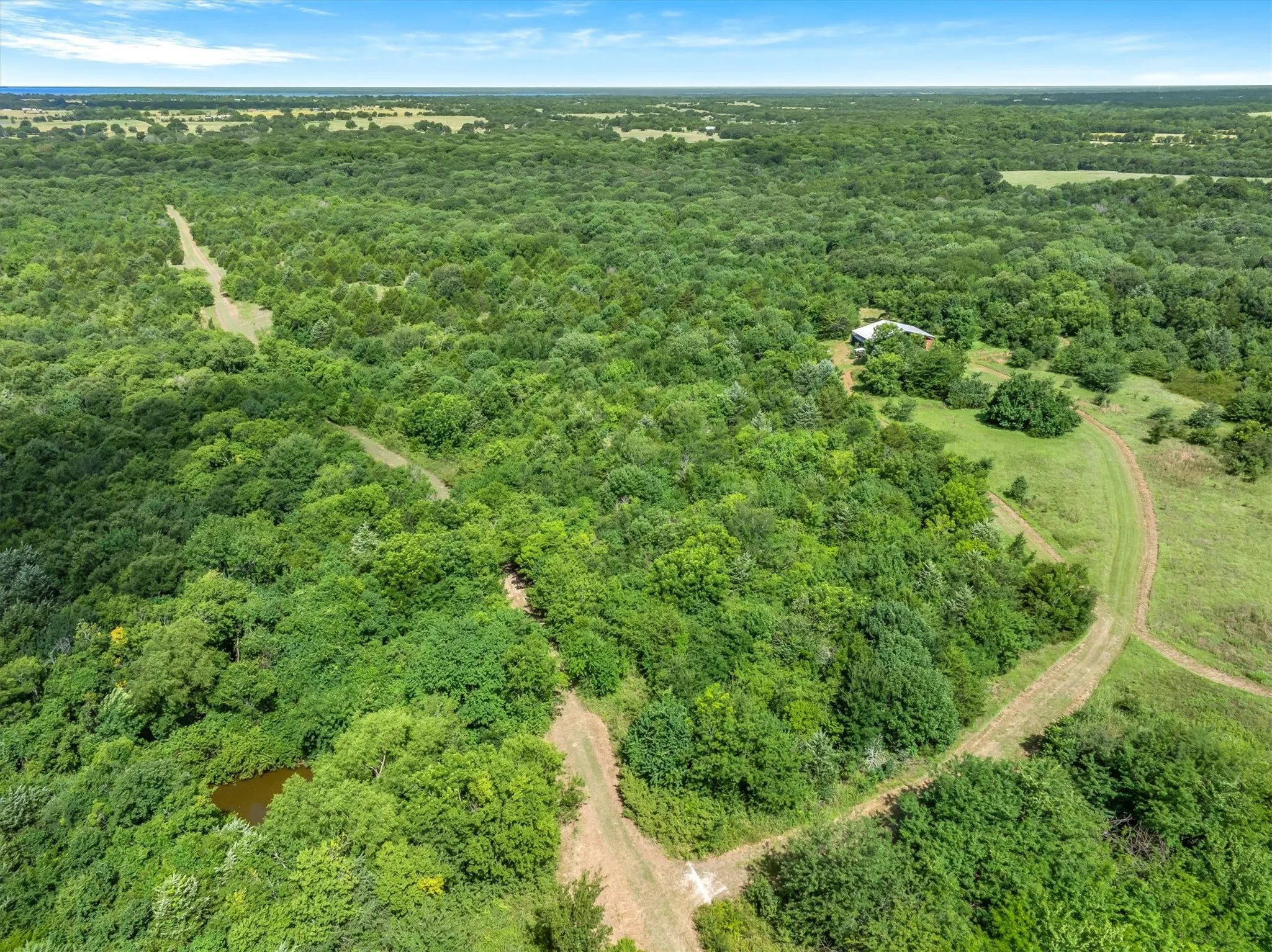 Ranch For Sale in Rains County , TBD FM 2737, Lone Oak, Texas 75453, 0, 0, Garage spaces, 0 Sqft, built in 0, mls#21293120, Real Estate Agent in Lone Oak, Homes For Sale in Rains county, Homes For Sale in Lone Oak, Realtor in Lone Oak Texas, Real Estate Brokerage Independent Realty Texas, Luminita Cordes Realtor
