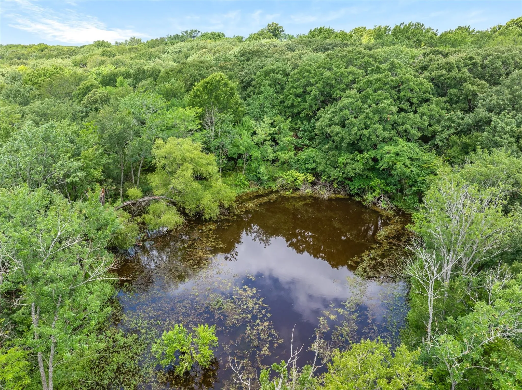 Nice pond on property, larger than it shows in the photo due to tree cover.