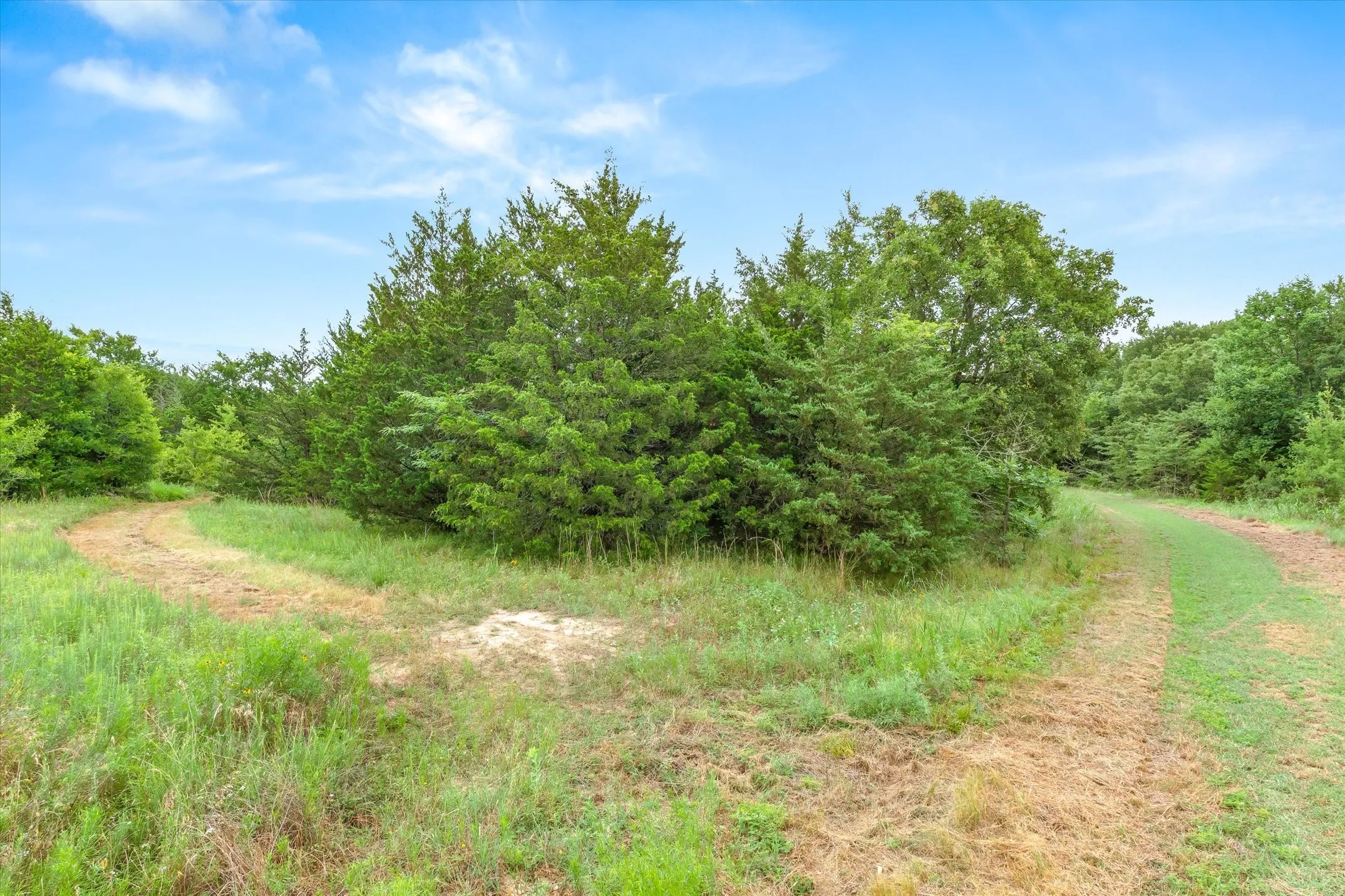 Ranch For Sale in Rains County , TBD FM 2737, Lone Oak, Texas 75453, 0, 0, Garage spaces, 0 Sqft, built in 0, mls#21293120, Real Estate Agent in Lone Oak, Homes For Sale in Rains county, Homes For Sale in Lone Oak, Realtor in Lone Oak Texas, Real Estate Brokerage Independent Realty Texas, Luminita Cordes Realtor