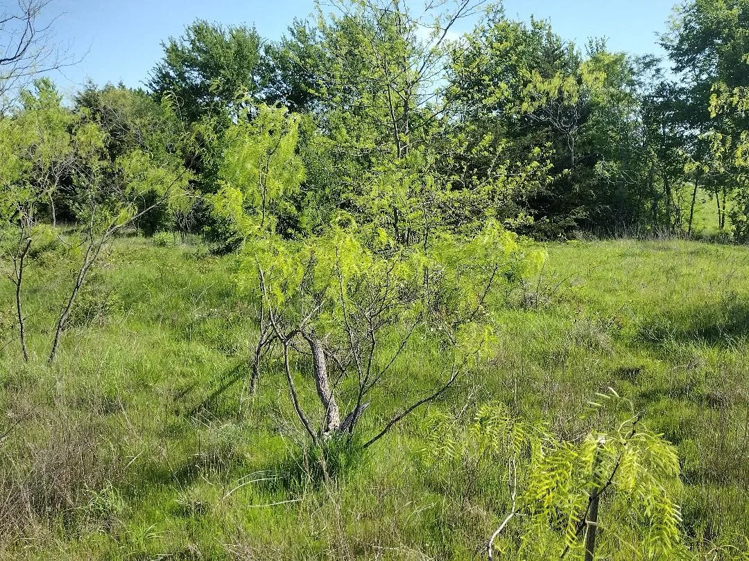 mid way down the right hand property line headed towards the damn