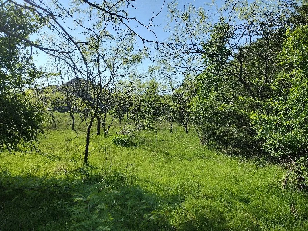 Right property line looking left down the tree line. Your house would overlook that area and then you can really accentuate how you want to manicure your shaded backyard.