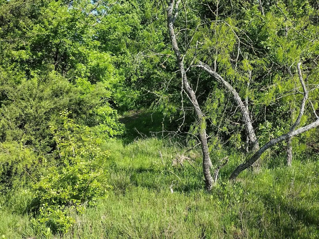 Improved Land For Sale in Hunt County , 4007 Vista Oak, Royse City, Texas 75189, 0, 0, Garage spaces, 0 Sqft, built in 0, mls#21307460, Real Estate Agent in Royse City, Homes For Sale in Hunt county, Homes For Sale in Royse City, Realtor in Royse City Texas, Real Estate Brokerage Independent Realty Texas, Luminita Cordes Realtor