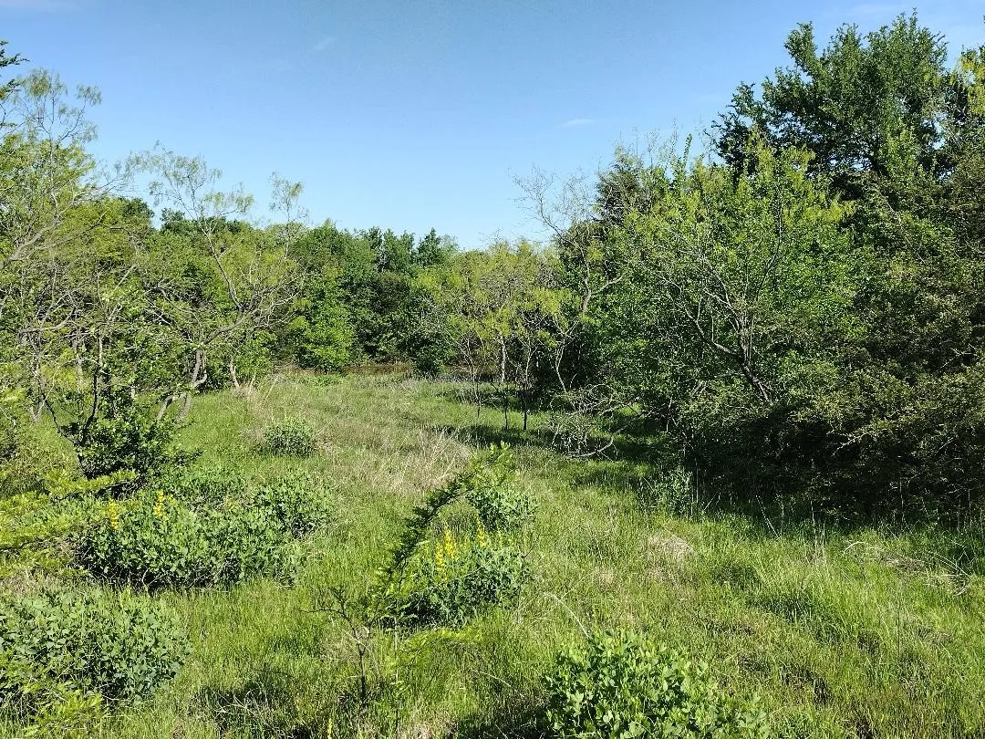 Back left hand side overlooking the adjacent pond. This area would be great for a party, grill area awning or even small party house.