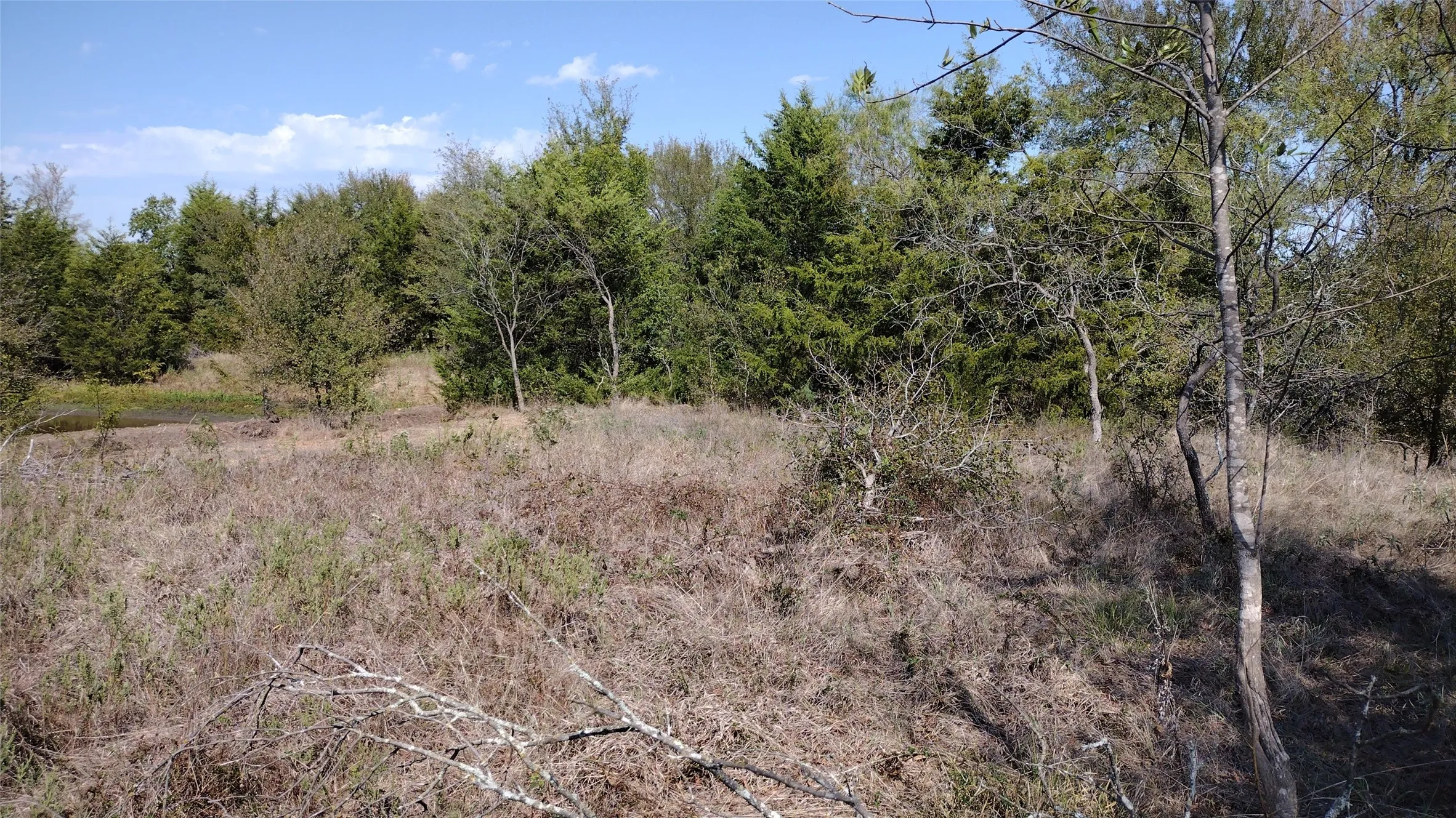 Left property line almost at back left corner looking over towards the damn. You can see the water over it.