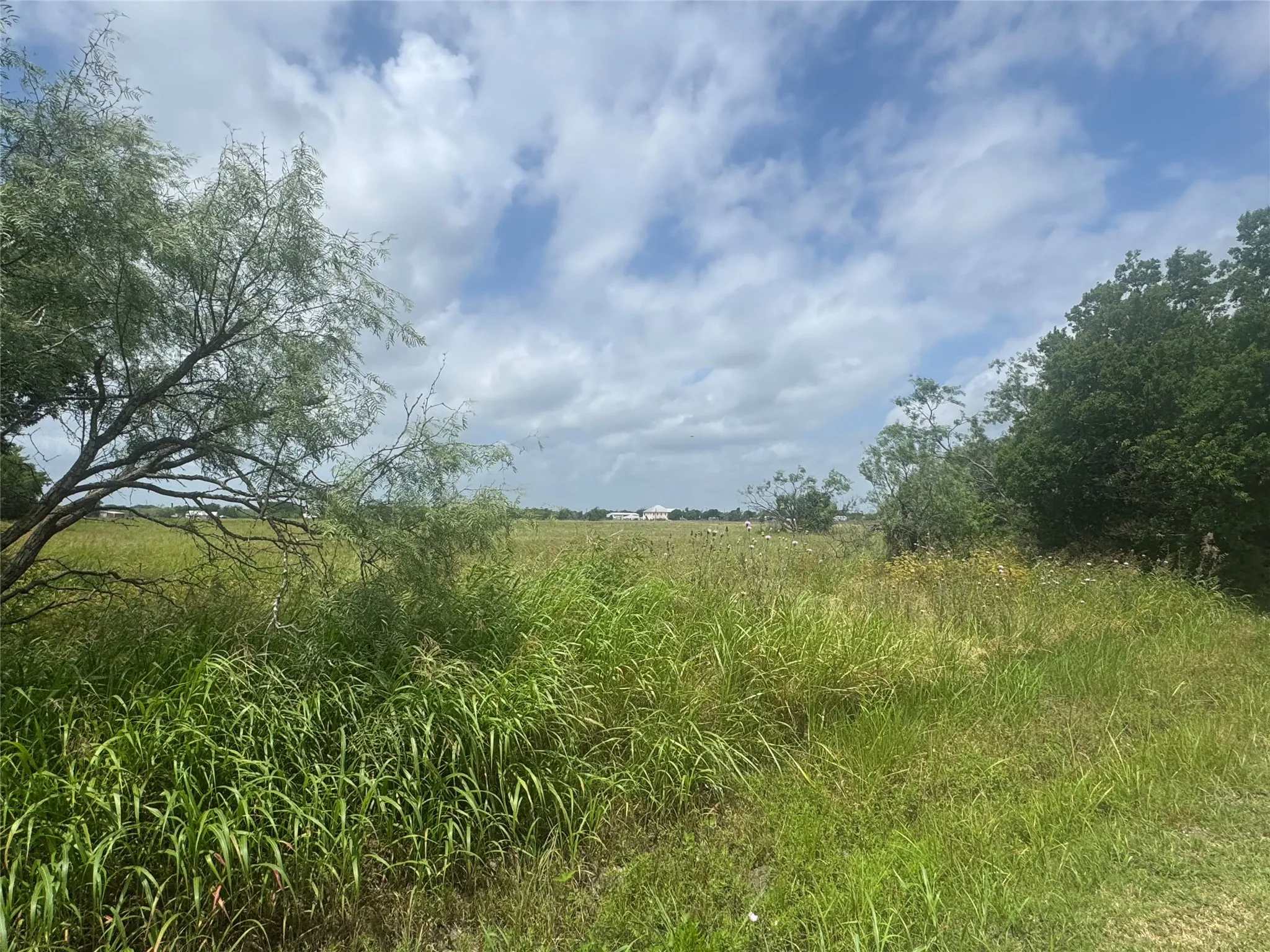 Improved Land For Sale in Kaufman County , TBD Highway 175, Kaufman, Texas 75142, 0, 0, Garage spaces, 0 Sqft, built in 0, Price $2,500,000, mls#21307478, Real Estate Agent in Kaufman, Homes For Sale in Kaufman county, Homes For Sale in Kaufman, Realtor in Kaufman Texas, Real Estate Brokerage Independent Realty Texas, Luminita Cordes Realtor