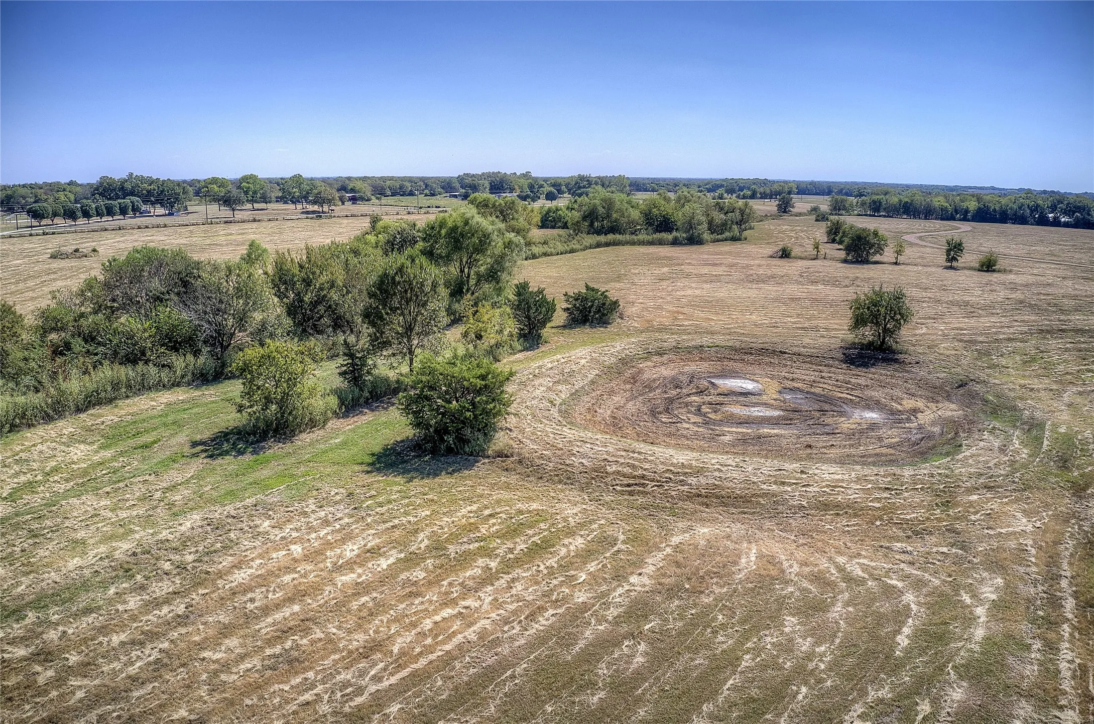 Unimproved Land For Sale in Fannin County , 1184 Fm-816 - Lot 3, Wolfe City, Texas 75496, 0, 0, Garage spaces, 0 Sqft, built in 2019, mls#21307516, Real Estate Agent in Wolfe City, Homes For Sale in Fannin county, Homes For Sale in Wolfe City, Realtor in Wolfe City Texas, Real Estate Brokerage Independent Realty Texas, Luminita Cordes Realtor