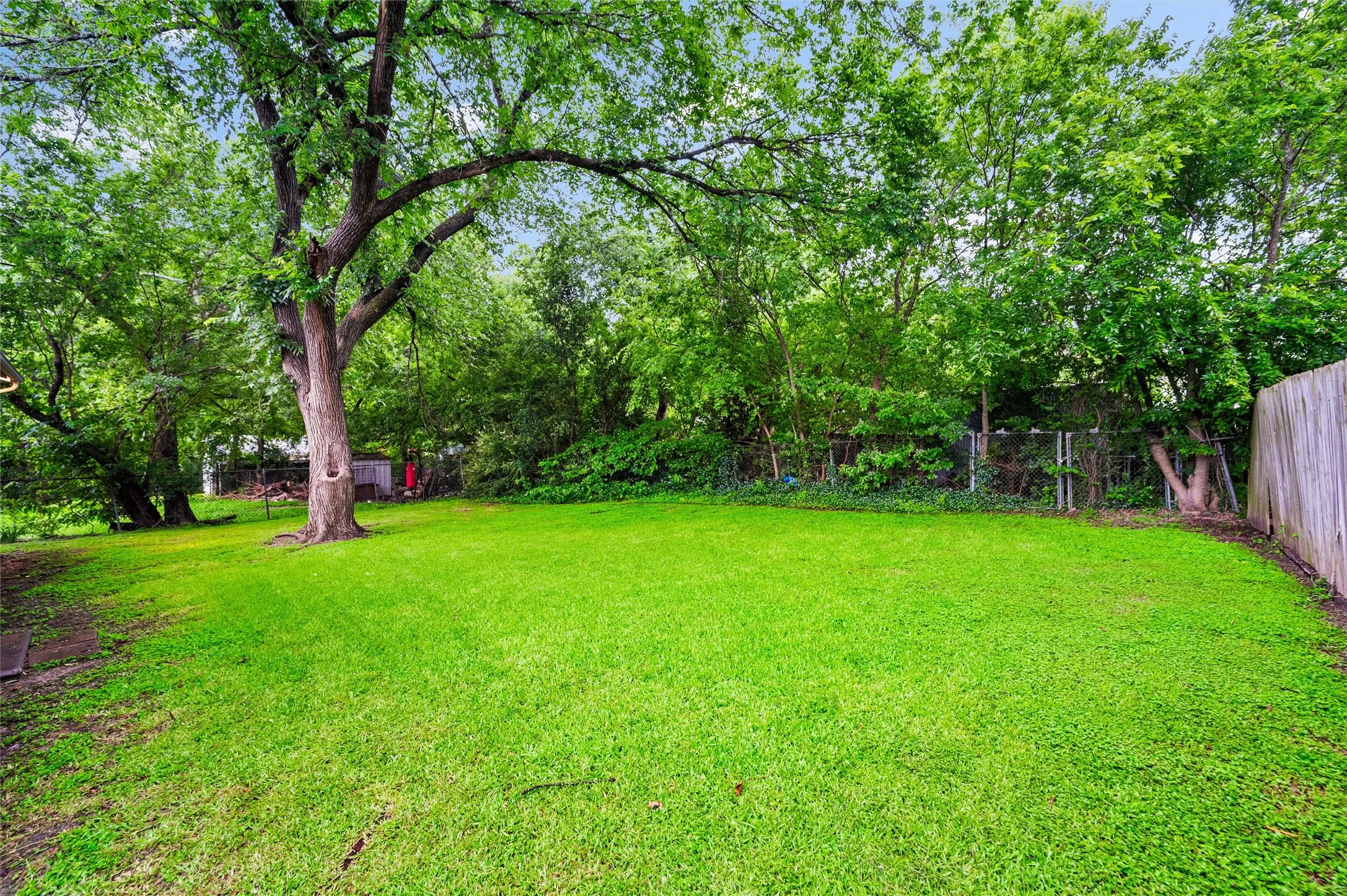 Backyard features an open lawn with a large mature shade tree. Wood privacy and chain-link fencing enclose the yard.