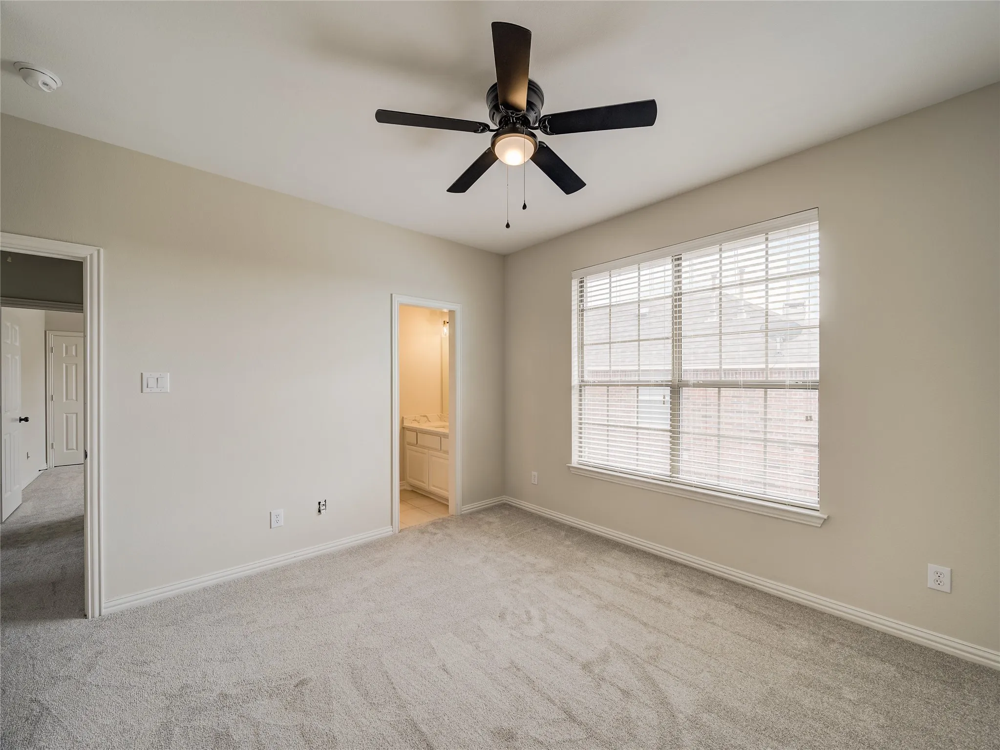 Carpeted room with a ceiling fan, a large window featuring horizontal blinds, and base molding