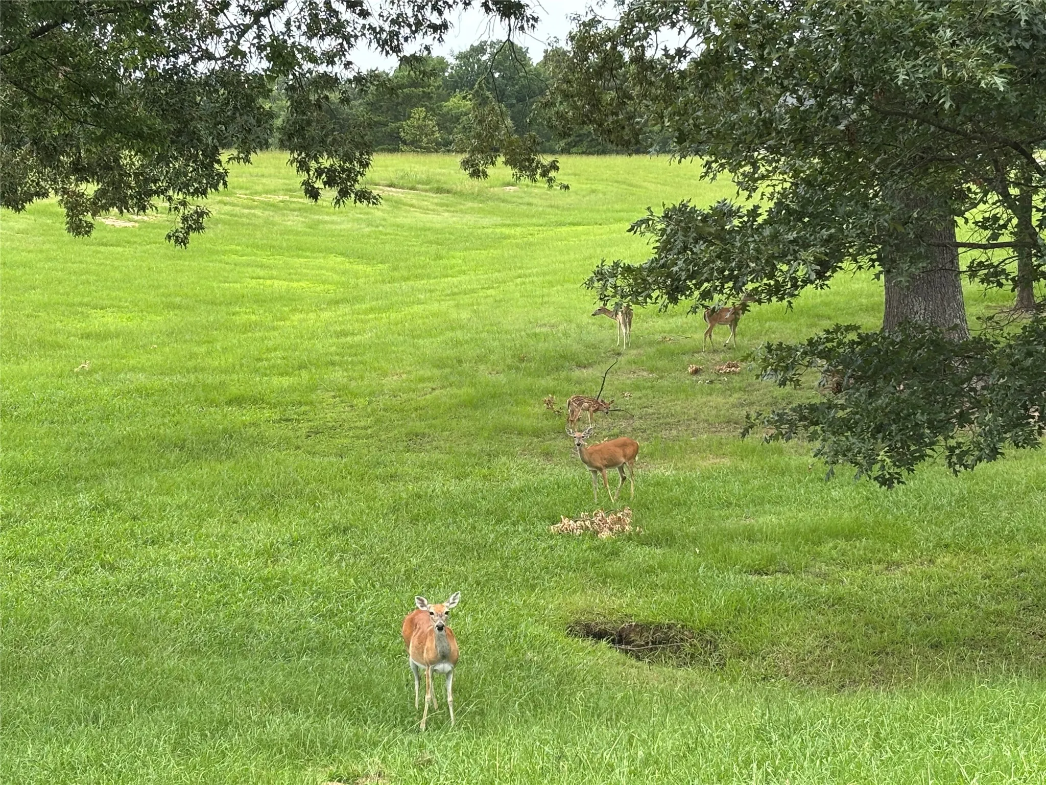 Enjoy the local wildlife