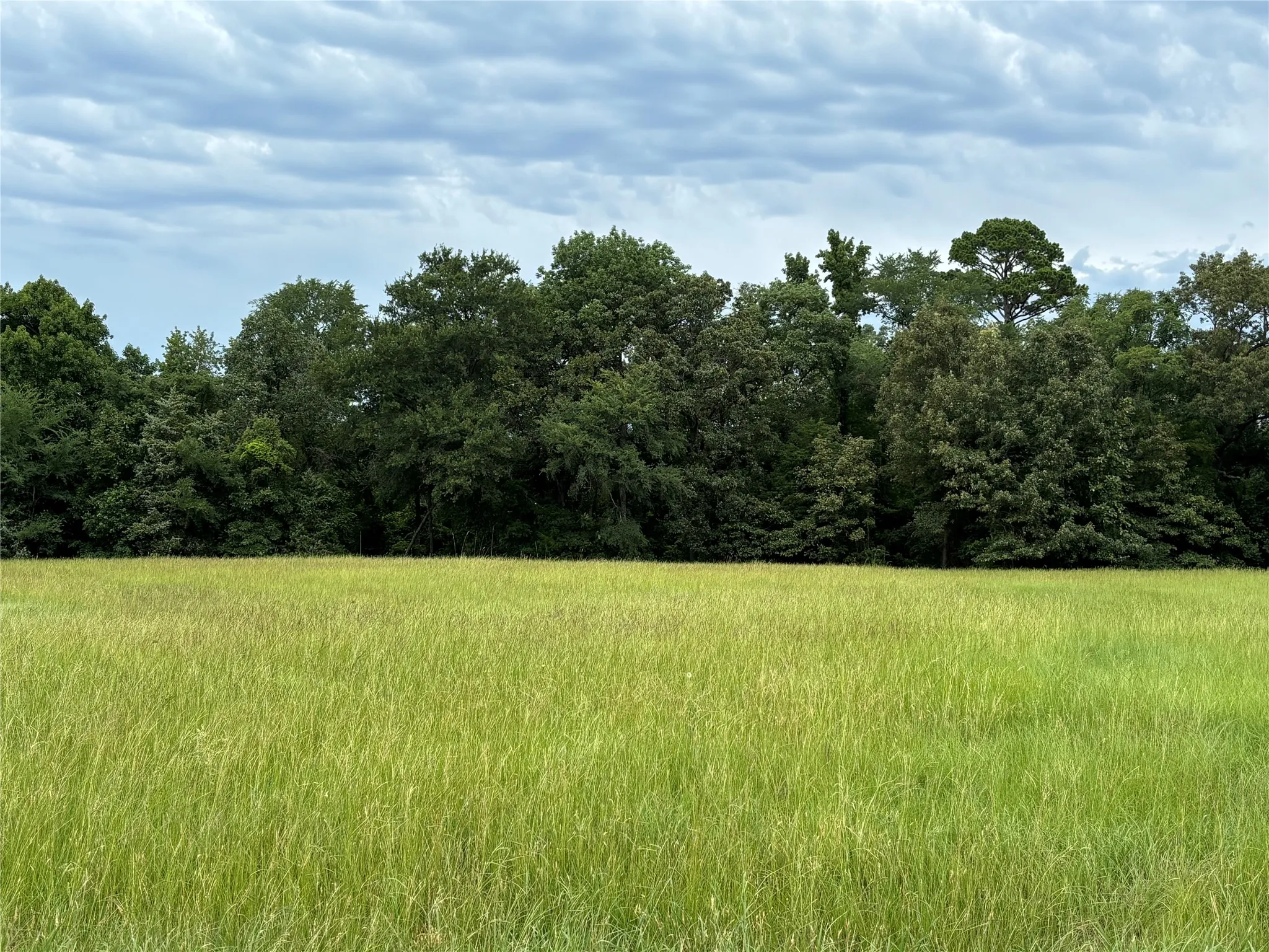 Unimproved Land For Sale in Titus County , Lot 73 Pr 2712, Mt Pleasant, Texas 75455, 0, 0, Garage spaces, 0 Sqft, built in 0, mls#21307291, Real Estate Agent in Mt Pleasant, Homes For Sale in Titus county, Homes For Sale in Mt Pleasant, Realtor in Mt Pleasant Texas, Real Estate Brokerage Independent Realty Texas, Luminita Cordes Realtor