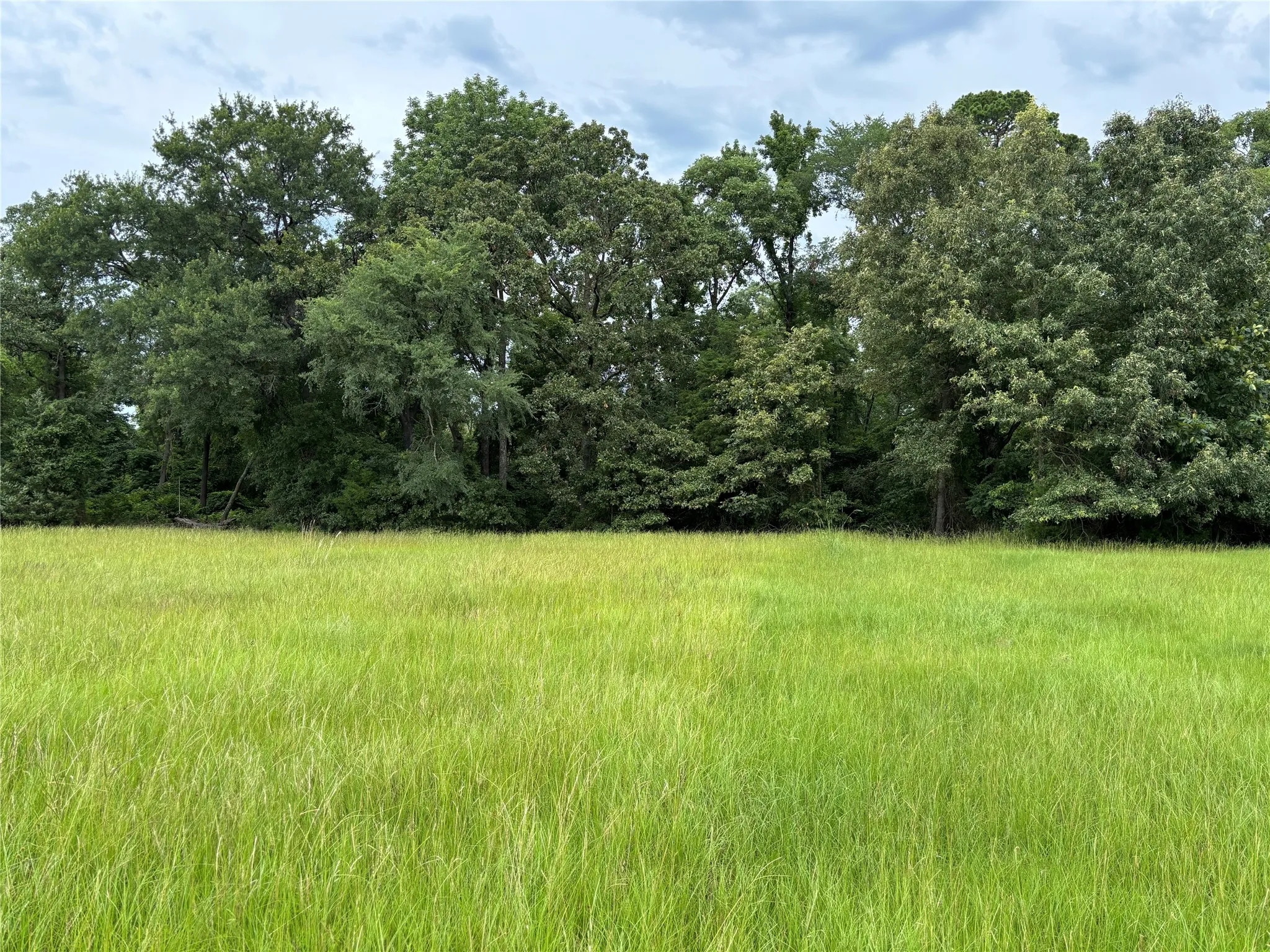Unimproved Land For Sale in Titus County , Lot 73 Pr 2712, Mt Pleasant, Texas 75455, 0, 0, Garage spaces, 0 Sqft, built in 0, mls#21307291, Real Estate Agent in Mt Pleasant, Homes For Sale in Titus county, Homes For Sale in Mt Pleasant, Realtor in Mt Pleasant Texas, Real Estate Brokerage Independent Realty Texas, Luminita Cordes Realtor