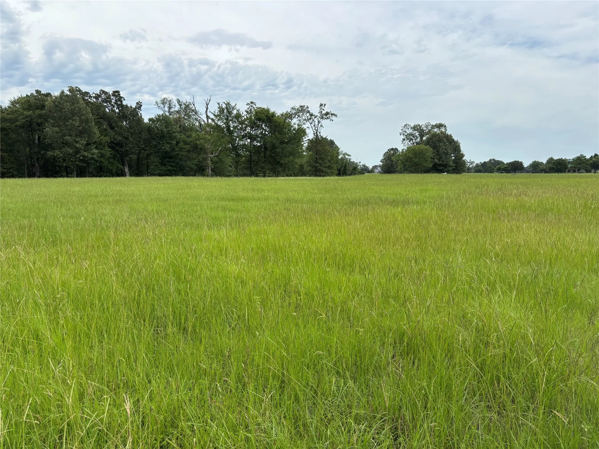 Unimproved Land For Sale in Titus County , Lot 73 Pr 2712, Mt Pleasant, Texas 75455, 0, 0, Garage spaces, 0 Sqft, built in 0, mls#21307291, Real Estate Agent in Mt Pleasant, Homes For Sale in Titus county, Homes For Sale in Mt Pleasant, Realtor in Mt Pleasant Texas, Real Estate Brokerage Independent Realty Texas, Luminita Cordes Realtor