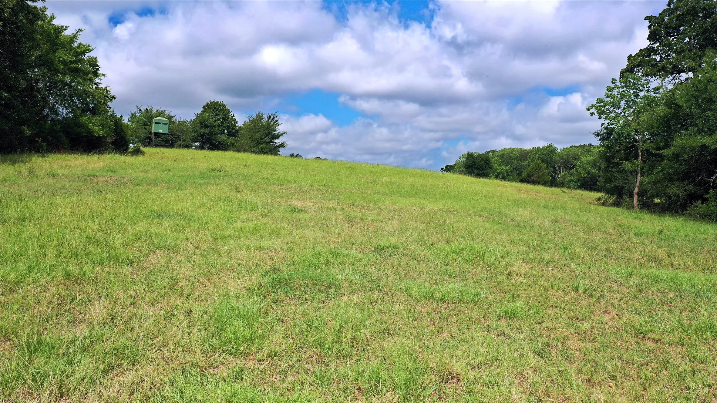 Ranch For Sale in Navarro County , TBD County Road 4090, Kerens, Texas 75144, 0, 0, Garage spaces, 0 Sqft, built in 0, mls#21307069, Real Estate Agent in Kerens, Homes For Sale in Navarro county, Homes For Sale in Kerens, Realtor in Kerens Texas, Real Estate Brokerage Independent Realty Texas, Luminita Cordes Realtor