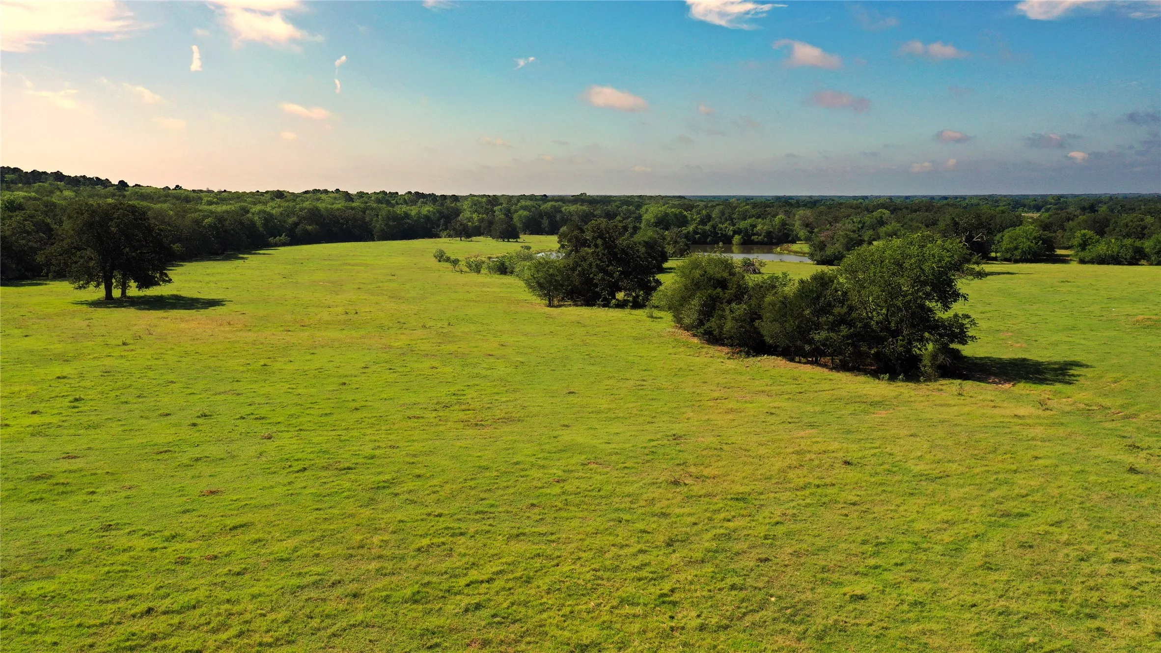 Ranch For Sale in Navarro County , TBD County Road 4090, Kerens, Texas 75144, 0, 0, Garage spaces, 0 Sqft, built in 0, mls#21307069, Real Estate Agent in Kerens, Homes For Sale in Navarro county, Homes For Sale in Kerens, Realtor in Kerens Texas, Real Estate Brokerage Independent Realty Texas, Luminita Cordes Realtor