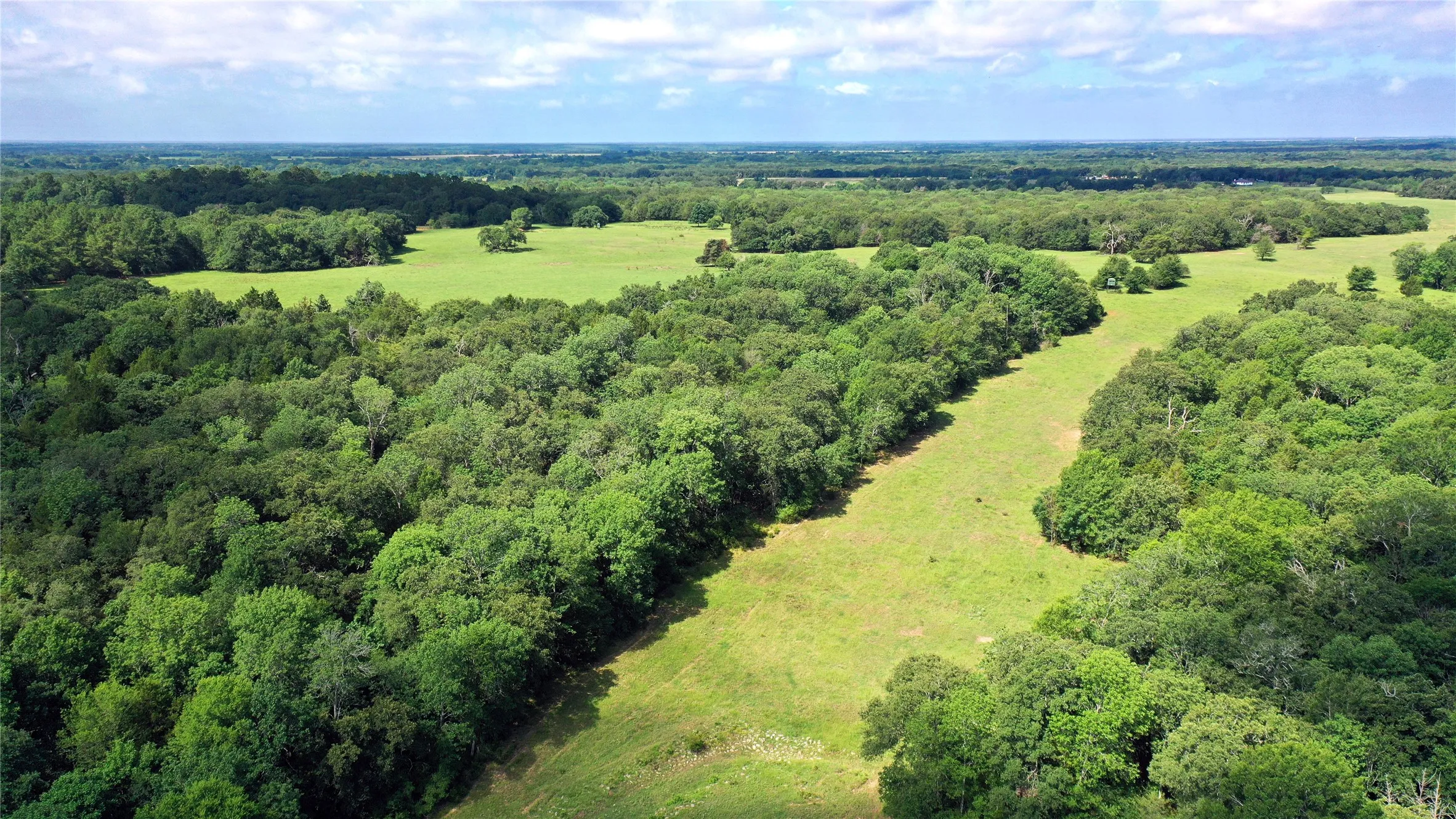 Ranch For Sale in Navarro County , TBD County Road 4090, Kerens, Texas 75144, 0, 0, Garage spaces, 0 Sqft, built in 0, mls#21307069, Real Estate Agent in Kerens, Homes For Sale in Navarro county, Homes For Sale in Kerens, Realtor in Kerens Texas, Real Estate Brokerage Independent Realty Texas, Luminita Cordes Realtor