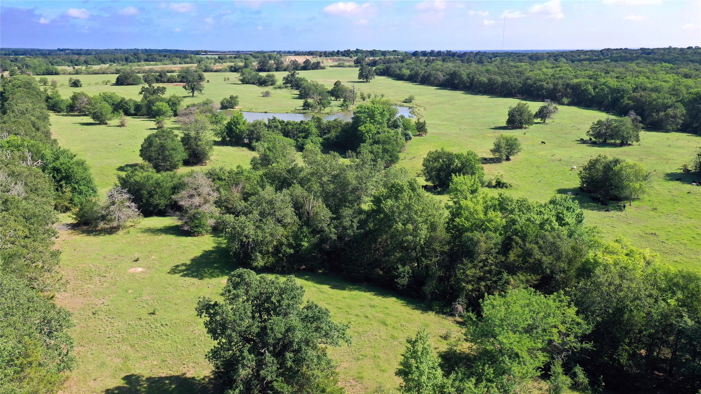 Ranch For Sale in Navarro County , TBD County Road 4090, Kerens, Texas 75144, 0, 0, Garage spaces, 0 Sqft, built in 0, mls#21307069, Real Estate Agent in Kerens, Homes For Sale in Navarro county, Homes For Sale in Kerens, Realtor in Kerens Texas, Real Estate Brokerage Independent Realty Texas, Luminita Cordes Realtor