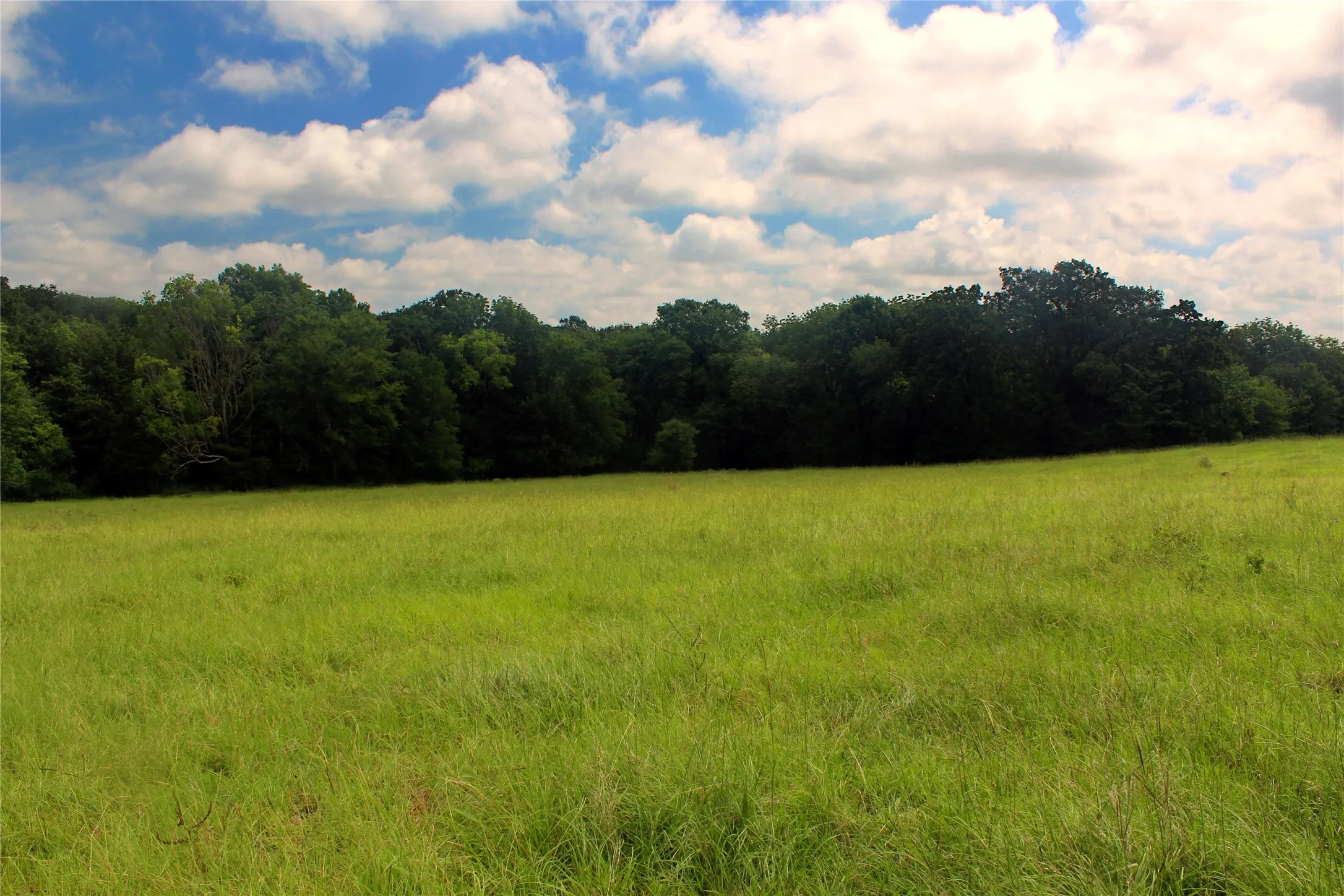 Ranch For Sale in Navarro County , TBD County Road 4090, Kerens, Texas 75144, 0, 0, Garage spaces, 0 Sqft, built in 0, mls#21307069, Real Estate Agent in Kerens, Homes For Sale in Navarro county, Homes For Sale in Kerens, Realtor in Kerens Texas, Real Estate Brokerage Independent Realty Texas, Luminita Cordes Realtor