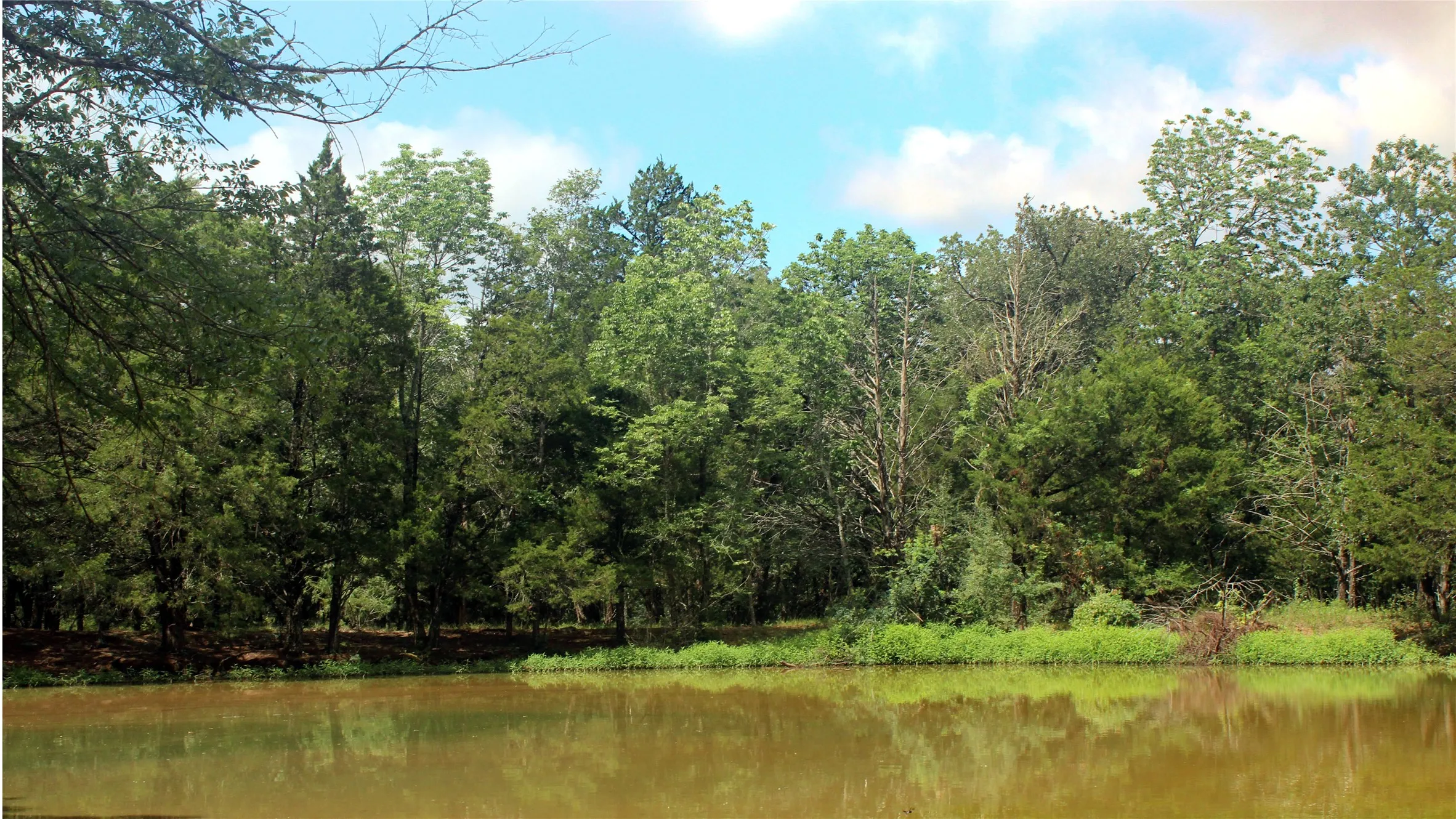 Ranch For Sale in Navarro County , TBD County Road 4090, Kerens, Texas 75144, 0, 0, Garage spaces, 0 Sqft, built in 0, mls#21307069, Real Estate Agent in Kerens, Homes For Sale in Navarro county, Homes For Sale in Kerens, Realtor in Kerens Texas, Real Estate Brokerage Independent Realty Texas, Luminita Cordes Realtor