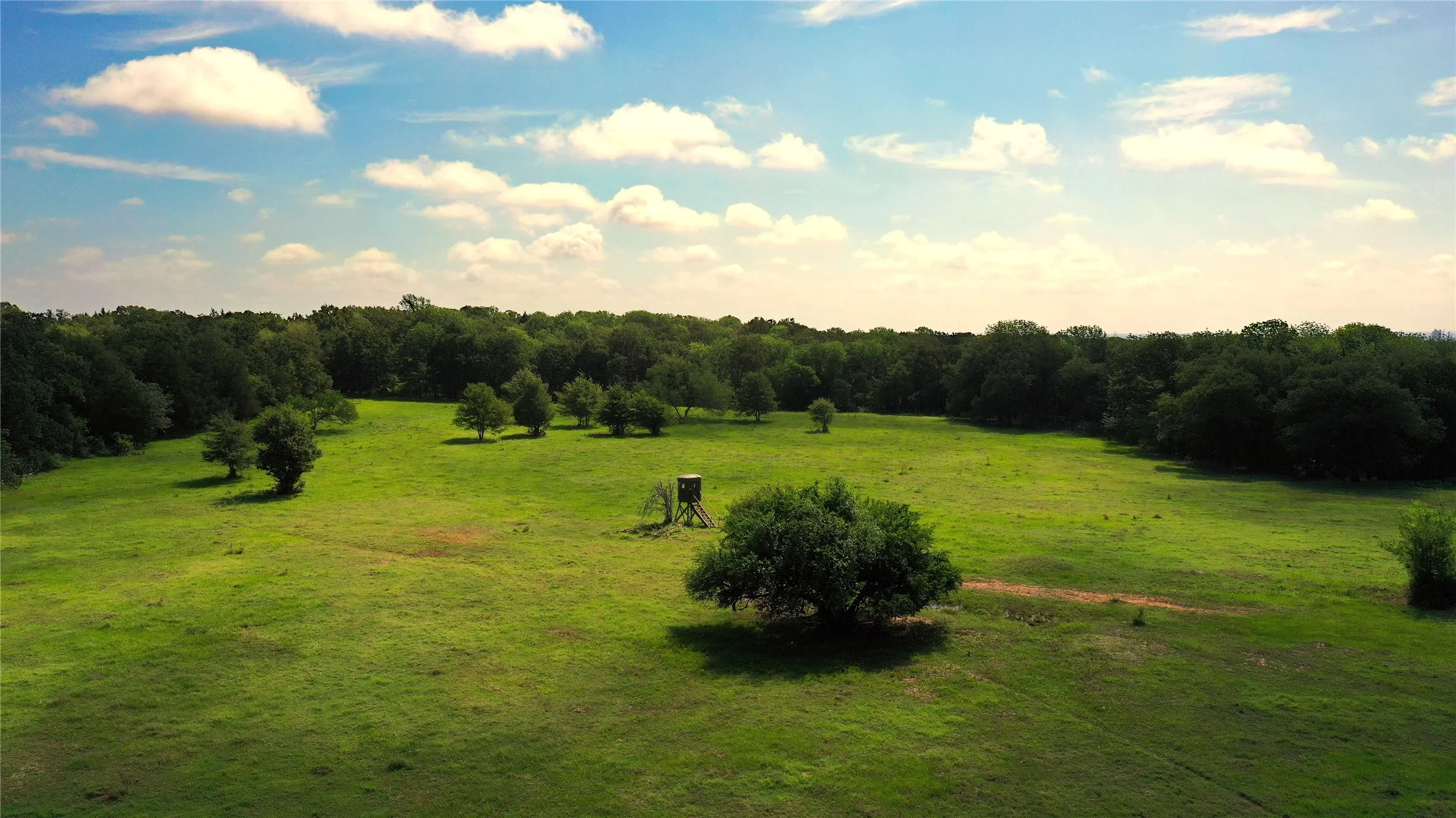 Ranch For Sale in Navarro County , TBD County Road 4090, Kerens, Texas 75144, 0, 0, Garage spaces, 0 Sqft, built in 0, mls#21307069, Real Estate Agent in Kerens, Homes For Sale in Navarro county, Homes For Sale in Kerens, Realtor in Kerens Texas, Real Estate Brokerage Independent Realty Texas, Luminita Cordes Realtor