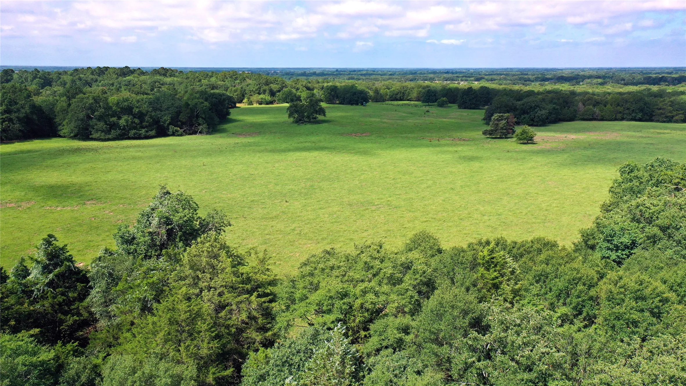 Ranch For Sale in Navarro County , TBD County Road 4090, Kerens, Texas 75144, 0, 0, Garage spaces, 0 Sqft, built in 0, mls#21307069, Real Estate Agent in Kerens, Homes For Sale in Navarro county, Homes For Sale in Kerens, Realtor in Kerens Texas, Real Estate Brokerage Independent Realty Texas, Luminita Cordes Realtor