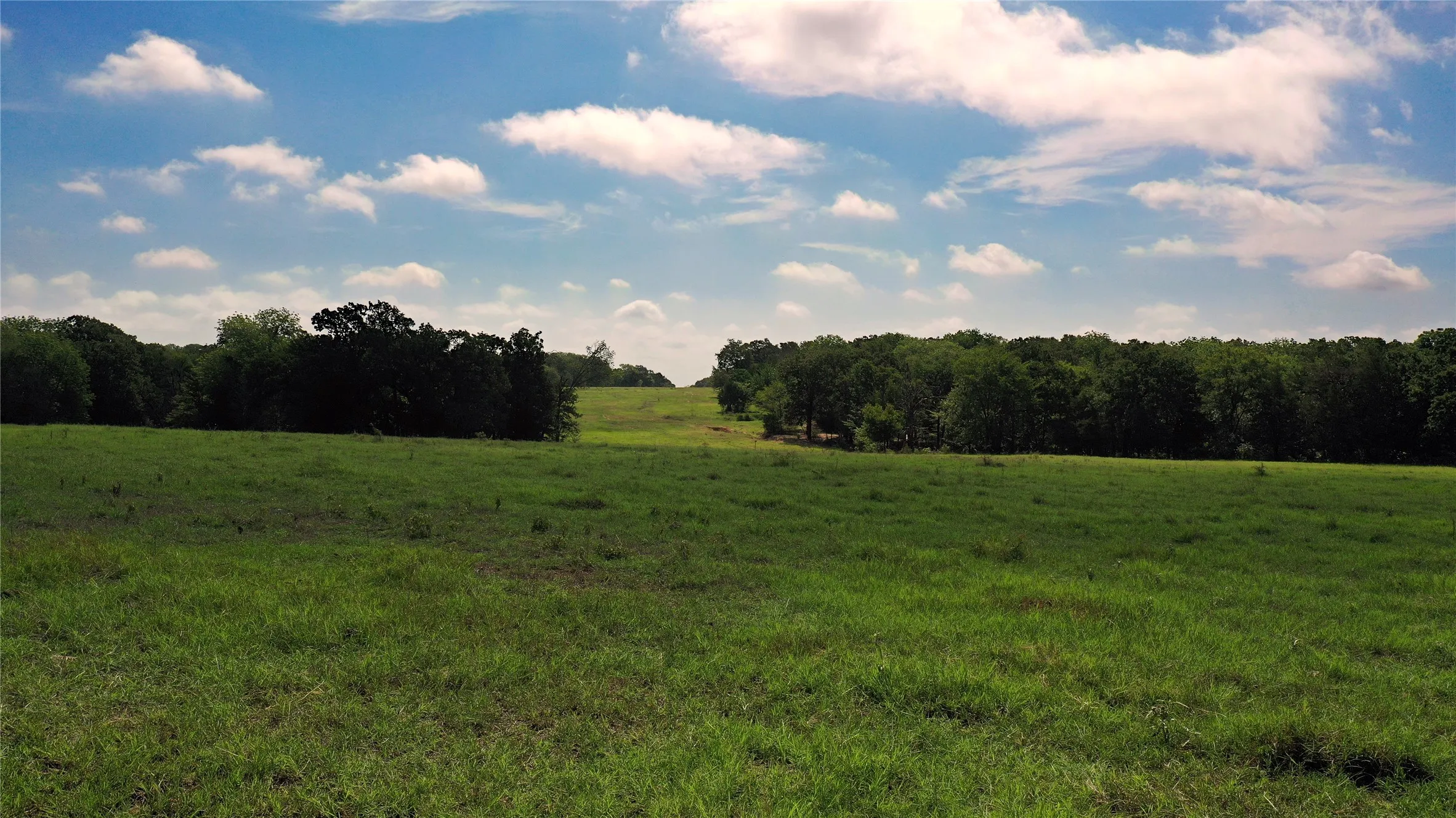Ranch For Sale in Navarro County , TBD County Road 4090, Kerens, Texas 75144, 0, 0, Garage spaces, 0 Sqft, built in 0, mls#21307069, Real Estate Agent in Kerens, Homes For Sale in Navarro county, Homes For Sale in Kerens, Realtor in Kerens Texas, Real Estate Brokerage Independent Realty Texas, Luminita Cordes Realtor
