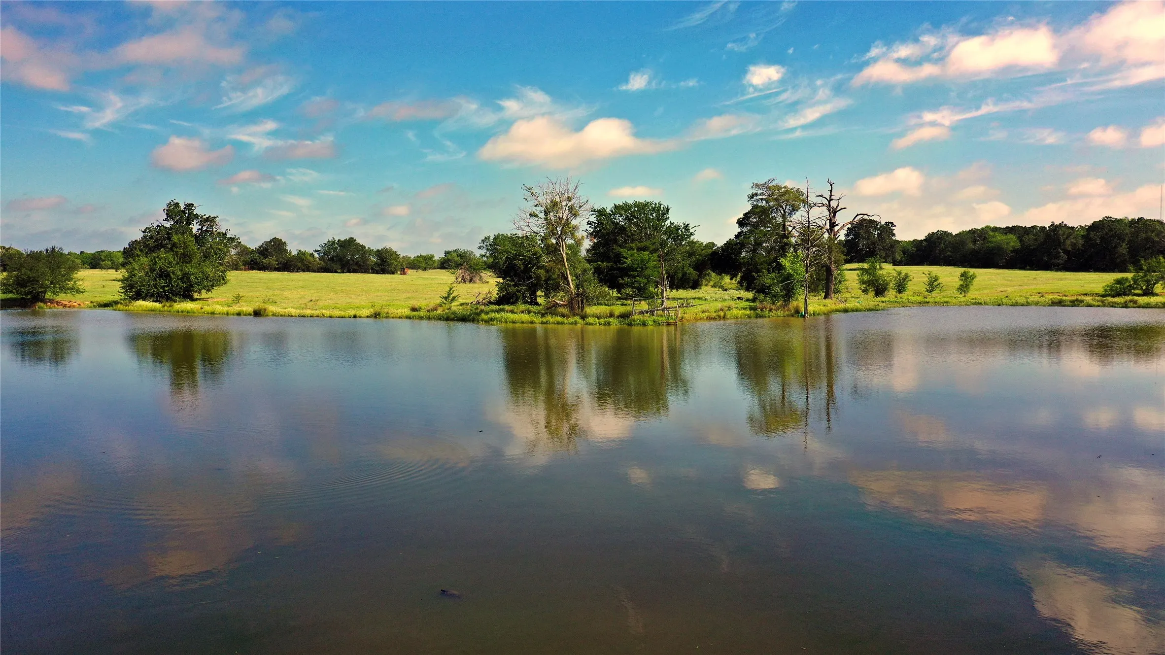 Ranch For Sale in Navarro County , TBD County Road 4090, Kerens, Texas 75144, 0, 0, Garage spaces, 0 Sqft, built in 0, mls#21307069, Real Estate Agent in Kerens, Homes For Sale in Navarro county, Homes For Sale in Kerens, Realtor in Kerens Texas, Real Estate Brokerage Independent Realty Texas, Luminita Cordes Realtor