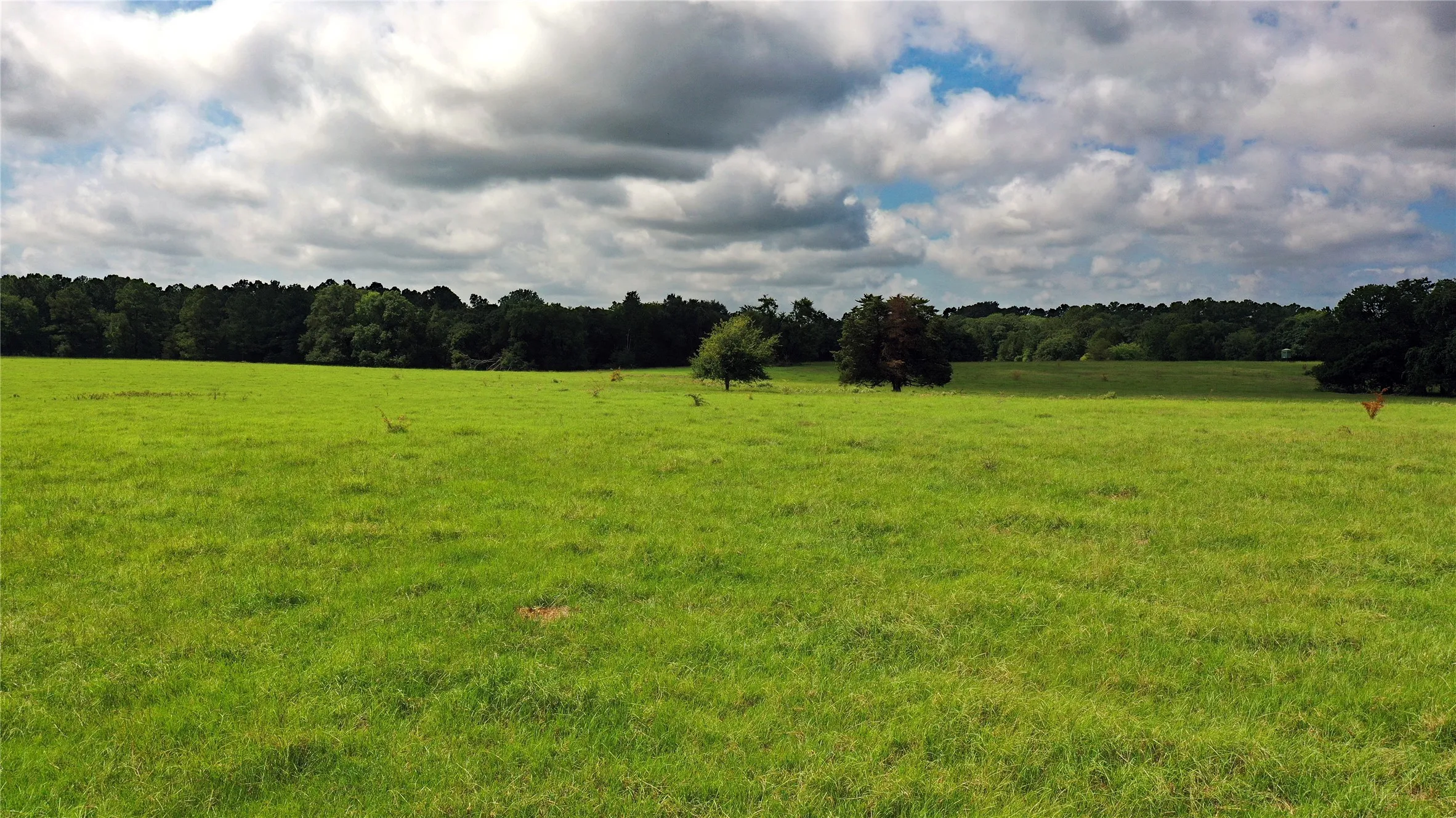 Ranch For Sale in Navarro County , TBD County Road 4090, Kerens, Texas 75144, 0, 0, Garage spaces, 0 Sqft, built in 0, mls#21307069, Real Estate Agent in Kerens, Homes For Sale in Navarro county, Homes For Sale in Kerens, Realtor in Kerens Texas, Real Estate Brokerage Independent Realty Texas, Luminita Cordes Realtor
