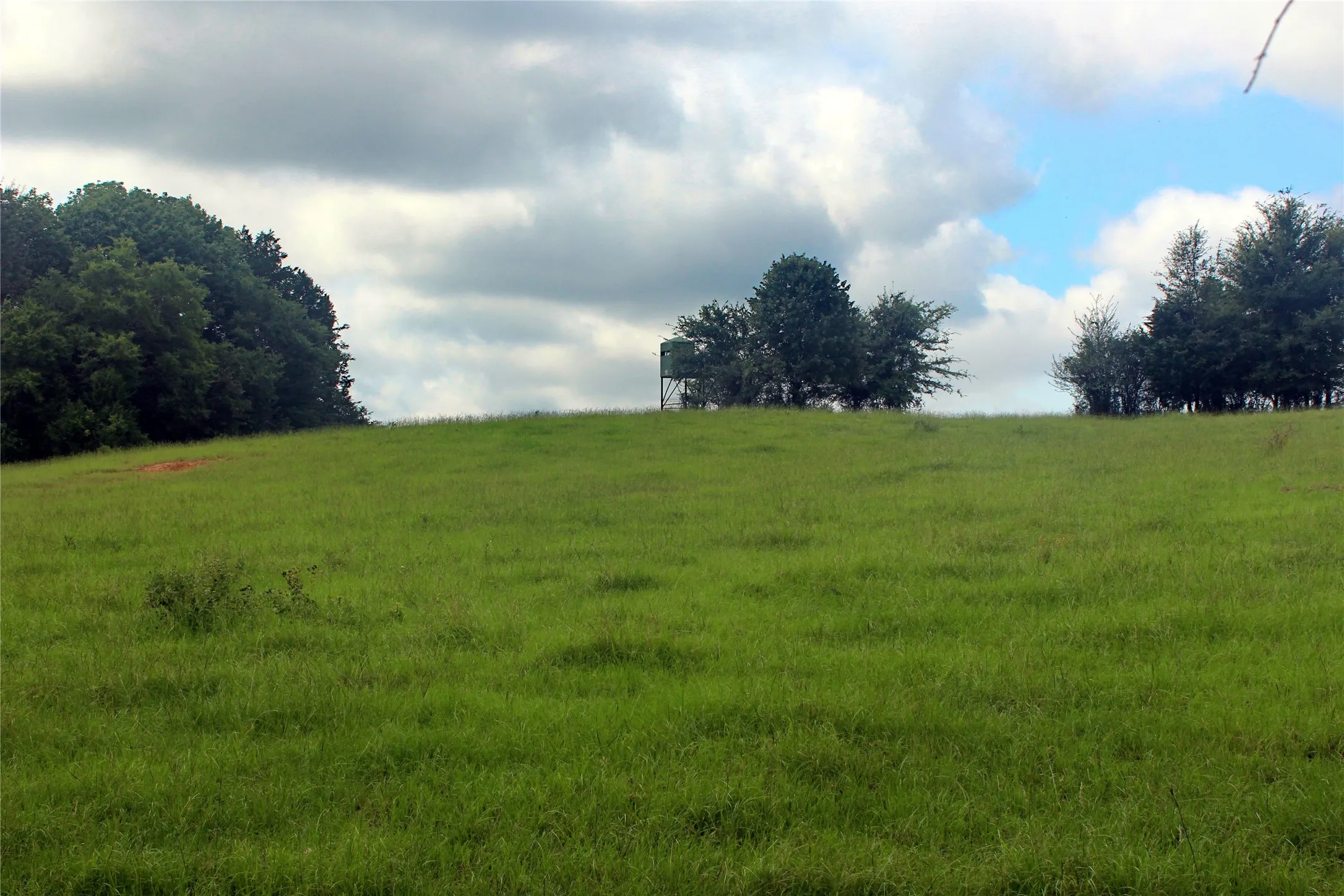 Ranch For Sale in Navarro County , TBD County Road 4090, Kerens, Texas 75144, 0, 0, Garage spaces, 0 Sqft, built in 0, mls#21307069, Real Estate Agent in Kerens, Homes For Sale in Navarro county, Homes For Sale in Kerens, Realtor in Kerens Texas, Real Estate Brokerage Independent Realty Texas, Luminita Cordes Realtor