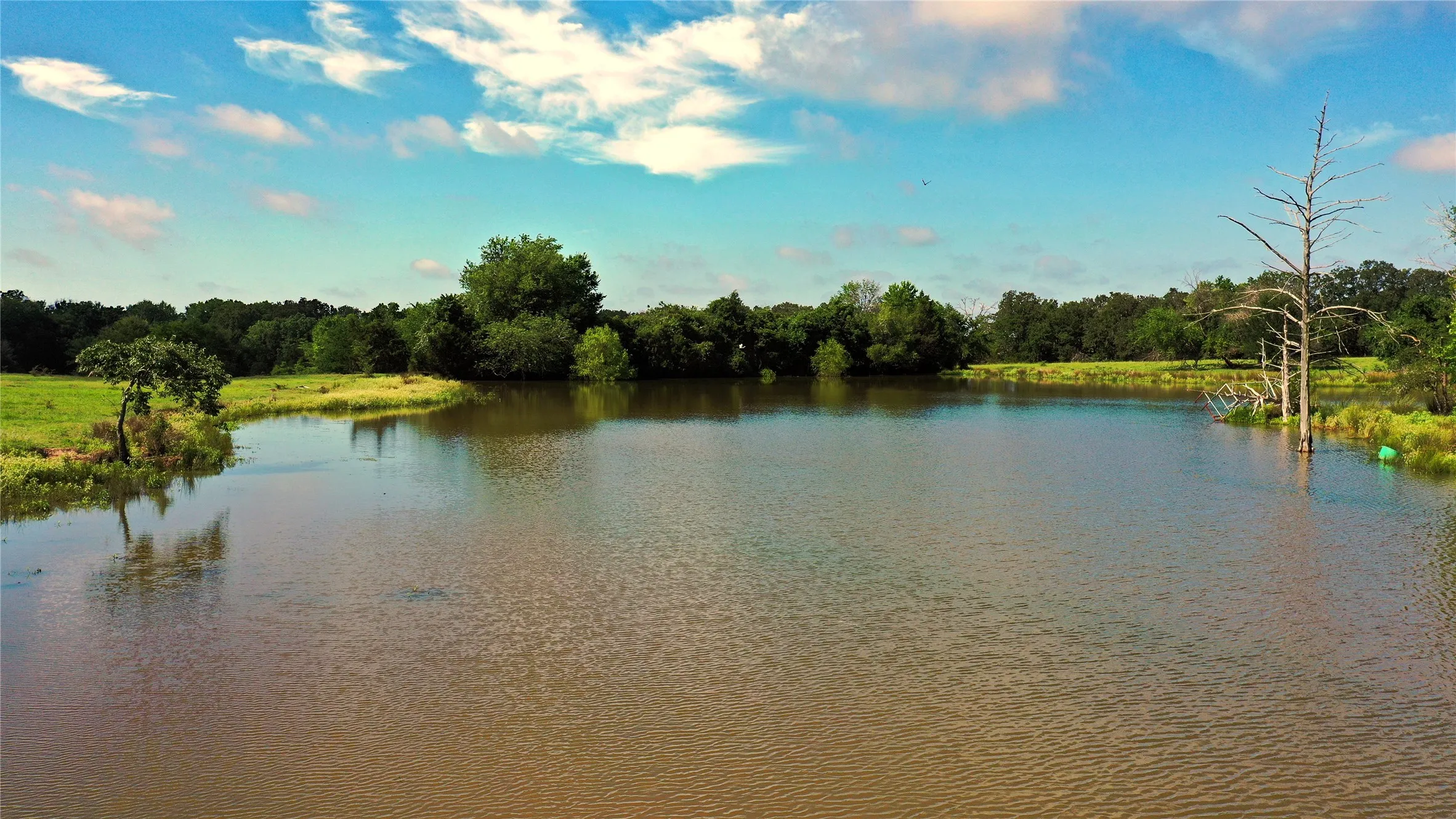 Ranch For Sale in Navarro County , TBD County Road 4090, Kerens, Texas 75144, 0, 0, Garage spaces, 0 Sqft, built in 0, mls#21307069, Real Estate Agent in Kerens, Homes For Sale in Navarro county, Homes For Sale in Kerens, Realtor in Kerens Texas, Real Estate Brokerage Independent Realty Texas, Luminita Cordes Realtor