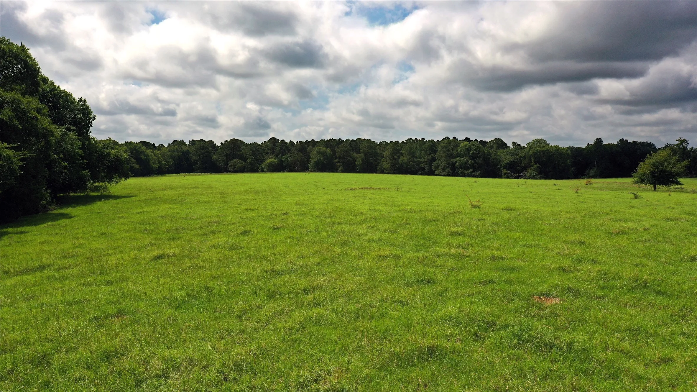 Ranch For Sale in Navarro County , TBD County Road 4090, Kerens, Texas 75144, 0, 0, Garage spaces, 0 Sqft, built in 0, mls#21307069, Real Estate Agent in Kerens, Homes For Sale in Navarro county, Homes For Sale in Kerens, Realtor in Kerens Texas, Real Estate Brokerage Independent Realty Texas, Luminita Cordes Realtor