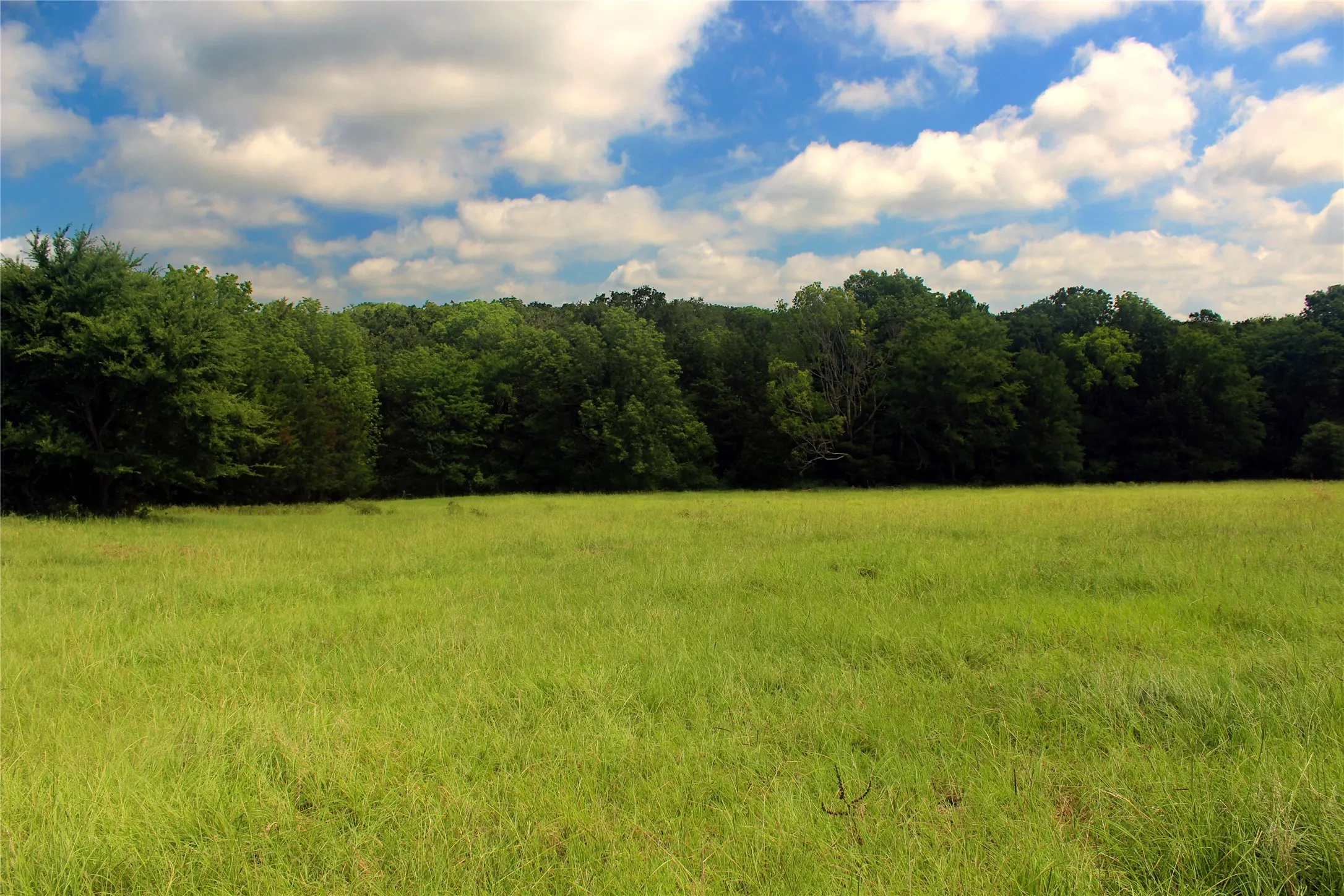 Ranch For Sale in Navarro County , TBD County Road 4090, Kerens, Texas 75144, 0, 0, Garage spaces, 0 Sqft, built in 0, mls#21307069, Real Estate Agent in Kerens, Homes For Sale in Navarro county, Homes For Sale in Kerens, Realtor in Kerens Texas, Real Estate Brokerage Independent Realty Texas, Luminita Cordes Realtor