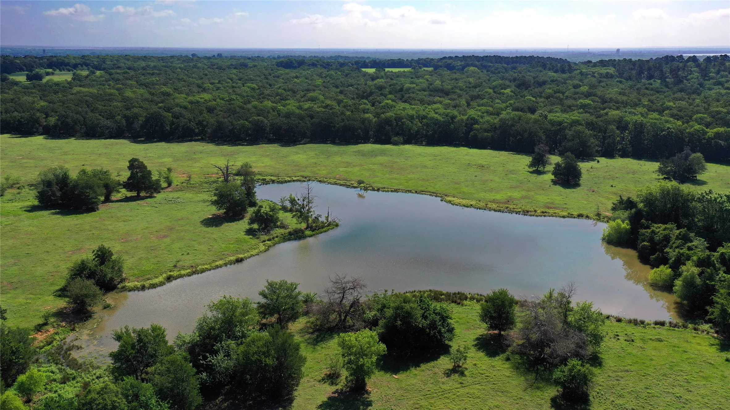 Ranch For Sale in Navarro County , TBD County Road 4090, Kerens, Texas 75144, 0, 0, Garage spaces, 0 Sqft, built in 0, mls#21307069, Real Estate Agent in Kerens, Homes For Sale in Navarro county, Homes For Sale in Kerens, Realtor in Kerens Texas, Real Estate Brokerage Independent Realty Texas, Luminita Cordes Realtor