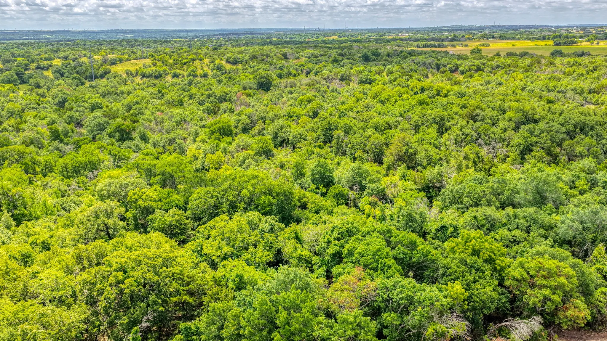 Unimproved Land For Sale in Parker County , TBD 7 Kay Terrace Lane, Weatherford, Texas 76085, 0, 0, Garage spaces, 0 Sqft, built in 0, Price $375,000, mls#21305298, Real Estate Agent in Weatherford, Homes For Sale in Parker county, Homes For Sale in Weatherford, Realtor in Weatherford Texas, Real Estate Brokerage Independent Realty Texas, Luminita Cordes Realtor