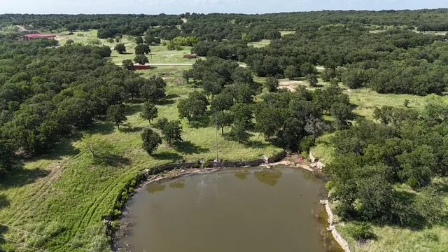 Unimproved Land For Sale in Wise County , 155 County Road 1742, Chico, Texas 76431, 0, 0, Garage spaces, 0 Sqft, built in 2006, mls#21307693, Real Estate Agent in Chico, Homes For Sale in Wise county, Homes For Sale in Chico, Realtor in Chico Texas, Real Estate Brokerage Independent Realty Texas, Luminita Cordes Realtor