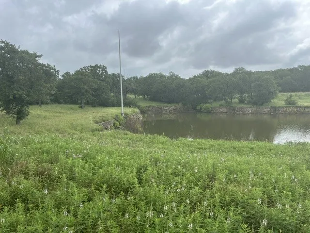 Unimproved Land For Sale in Wise County , 155 County Road 1742, Chico, Texas 76431, 0, 0, Garage spaces, 0 Sqft, built in 2006, mls#21307693, Real Estate Agent in Chico, Homes For Sale in Wise county, Homes For Sale in Chico, Realtor in Chico Texas, Real Estate Brokerage Independent Realty Texas, Luminita Cordes Realtor