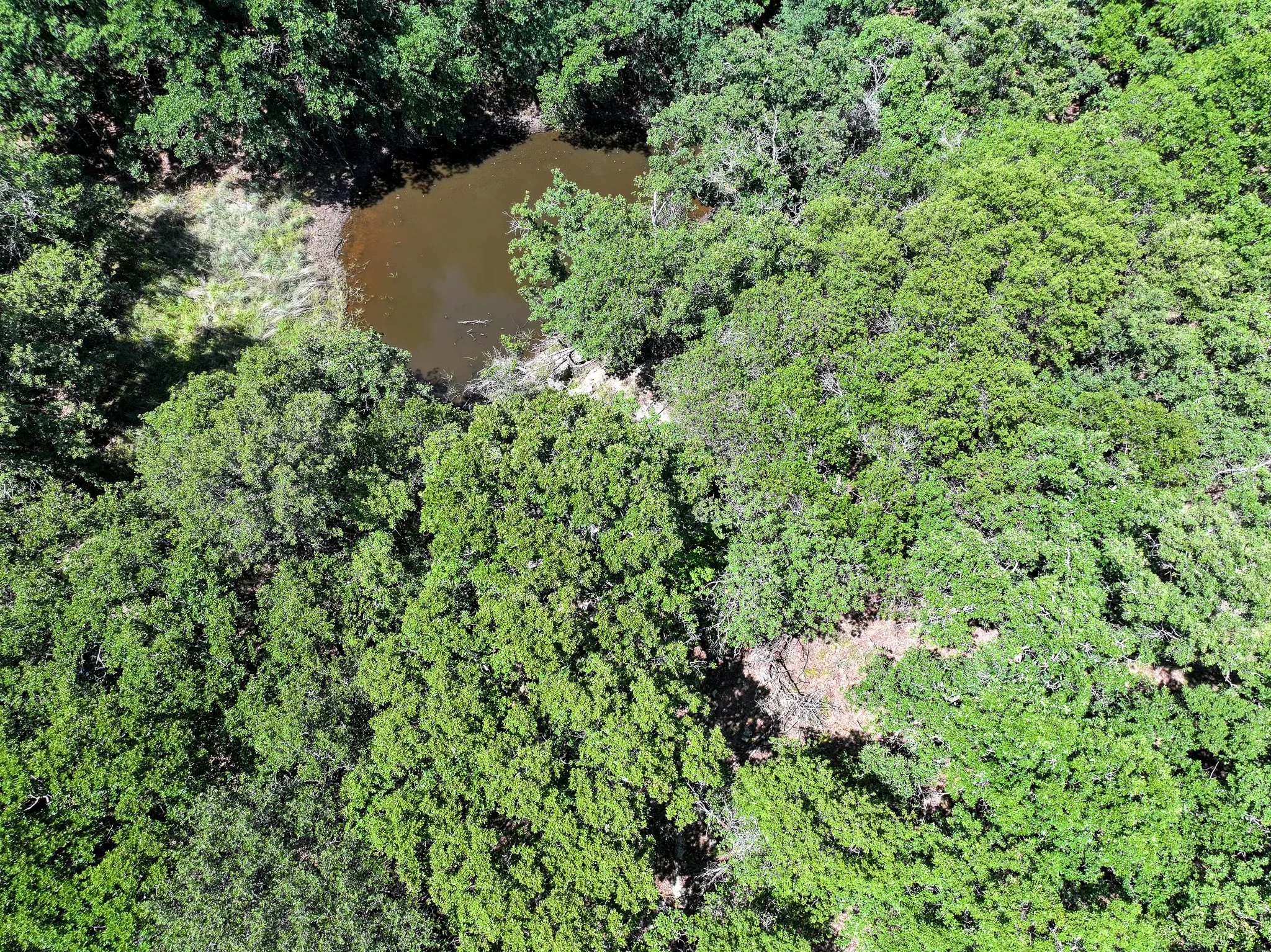 Ranch For Sale in Jack County , 18156 Hwy 281 N, Jacksboro, Texas 76458, 0, 0, Garage spaces, 0 Sqft, built in 1999, mls#21302585, Real Estate Agent in Jacksboro, Homes For Sale in Jack county, Homes For Sale in Jacksboro, Realtor in Jacksboro Texas, Real Estate Brokerage Independent Realty Texas, Luminita Cordes Realtor