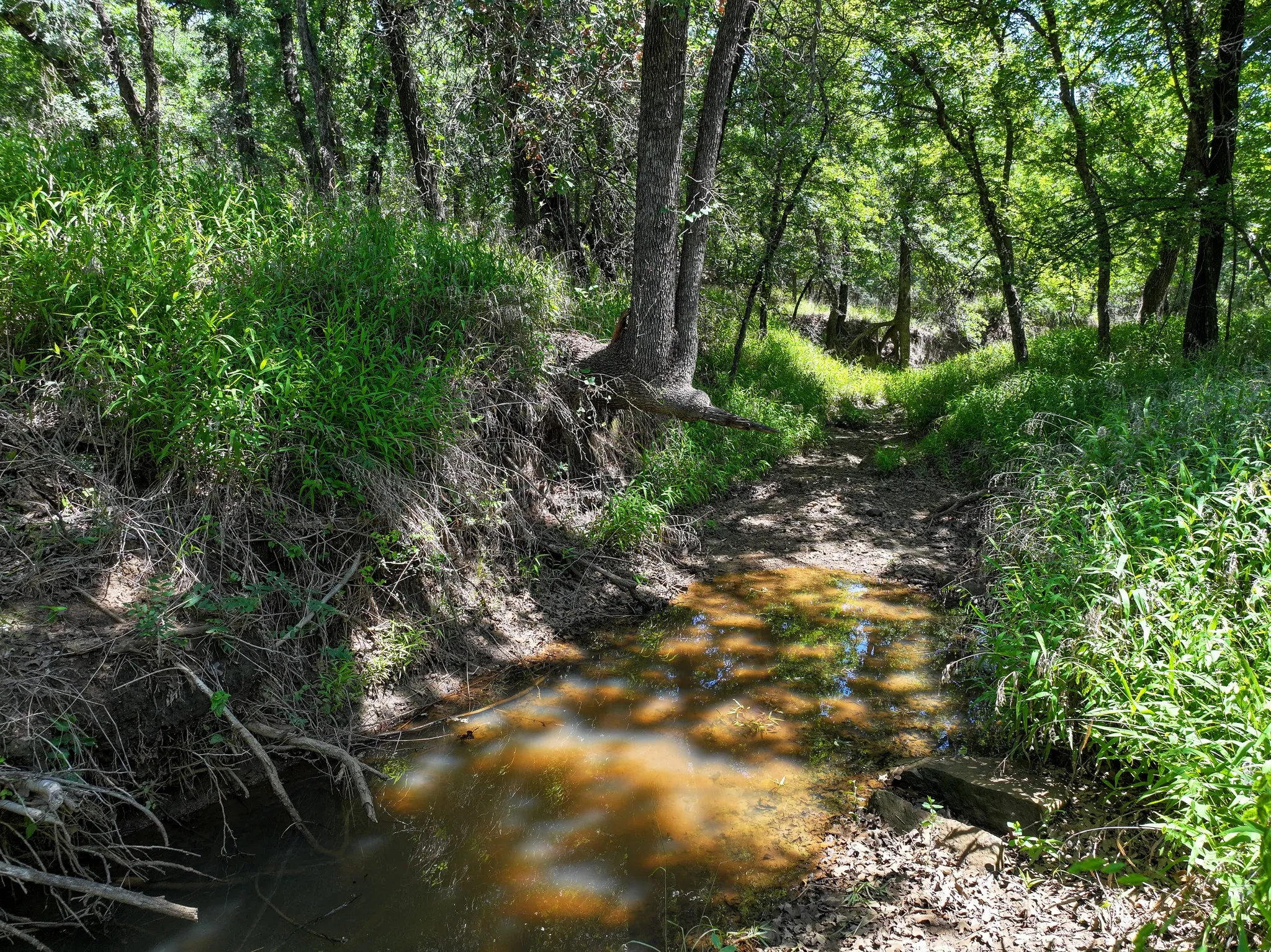 Ranch For Sale in Jack County , 18156 Hwy 281 N, Jacksboro, Texas 76458, 0, 0, Garage spaces, 0 Sqft, built in 1999, mls#21302585, Real Estate Agent in Jacksboro, Homes For Sale in Jack county, Homes For Sale in Jacksboro, Realtor in Jacksboro Texas, Real Estate Brokerage Independent Realty Texas, Luminita Cordes Realtor
