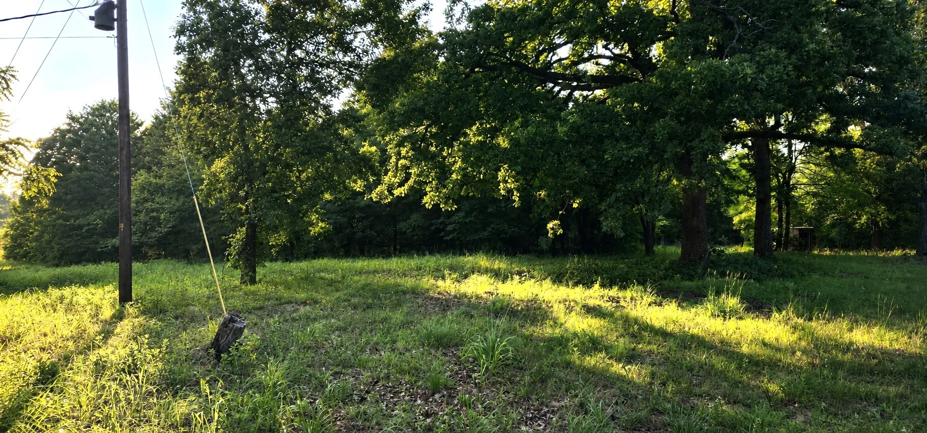 Improved Land For Sale in Henderson County , 14598 County Road 1122, Athens, Texas 75751, 0, 0, Garage spaces, 0 Sqft, built in 1987, Price $230,000, mls#21307733, Real Estate Agent in Athens, Homes For Sale in Henderson county, Homes For Sale in Athens, Realtor in Athens Texas, Real Estate Brokerage Independent Realty Texas, Luminita Cordes Realtor